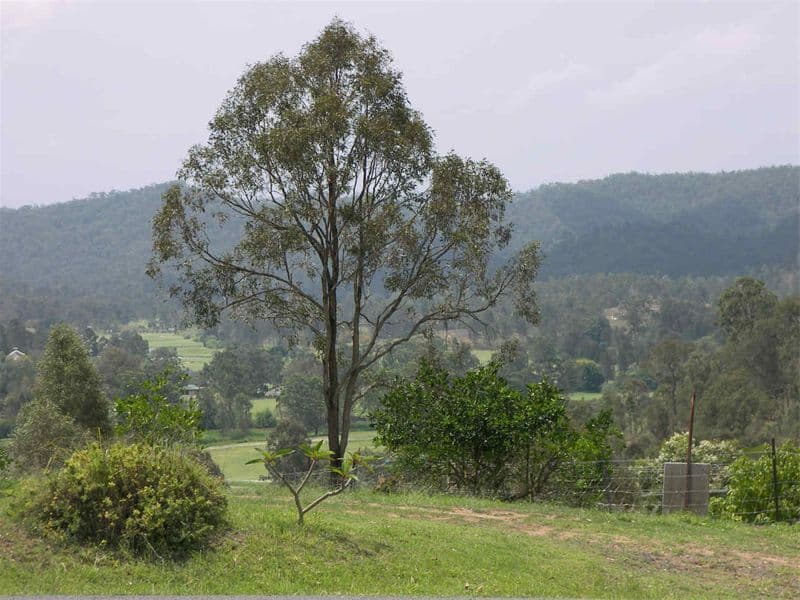 GLENVALE, QLD, Glenvale - Thumbnail 3