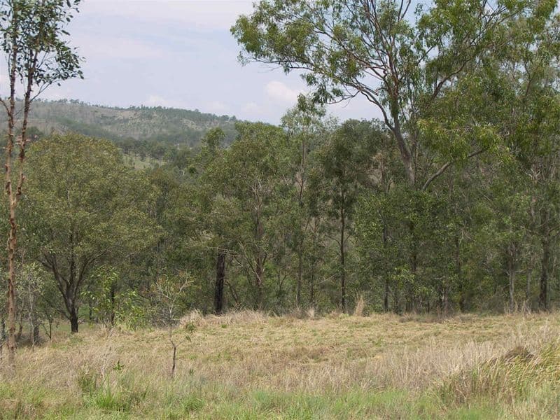 GLENVALE, QLD, Glenvale - Thumbnail 4