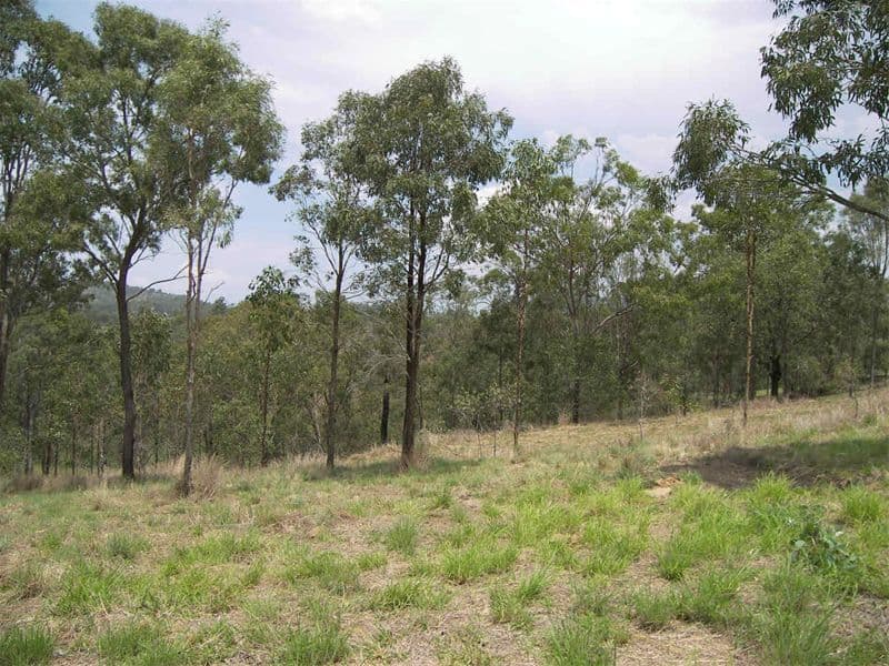 GLENVALE, QLD, Glenvale - Thumbnail 6