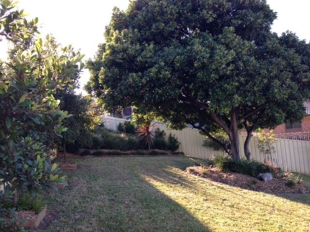 4 Ibis Place, BLACKBUTT NSW 2529, Blackbutt - Thumbnail 5