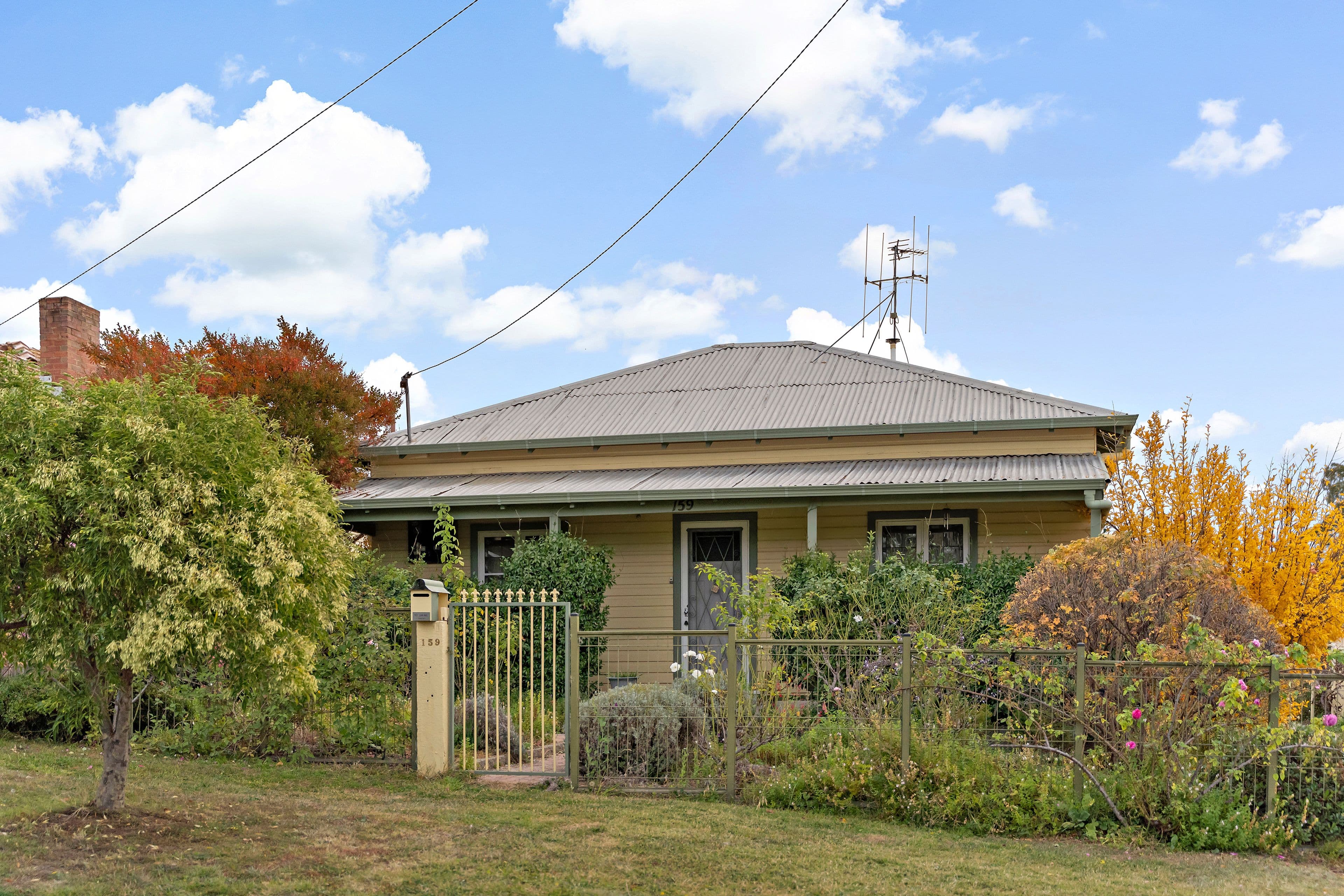 159 Ross Road, Queanbeyan NSW 2620, Queanbeyan - Thumbnail 2