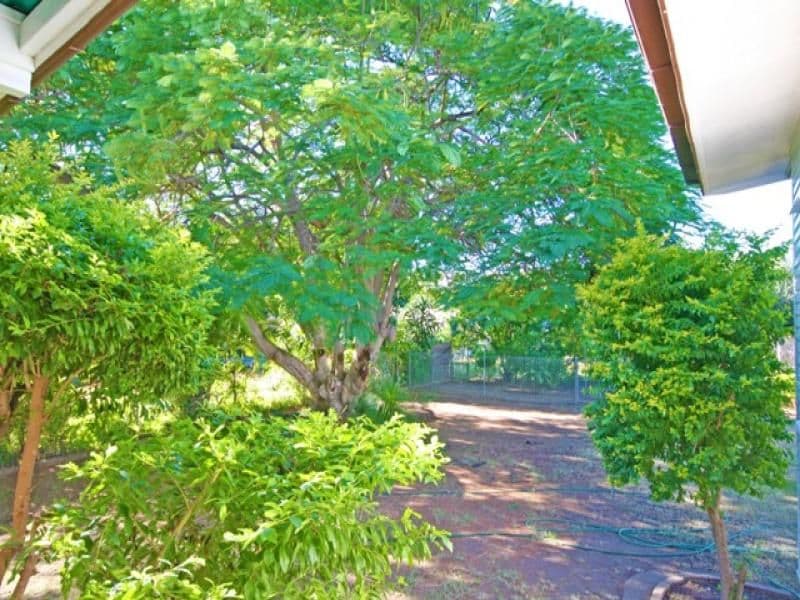 22 Malakoff Street, BILOELA QLD 4715, Biloela - Thumbnail 6