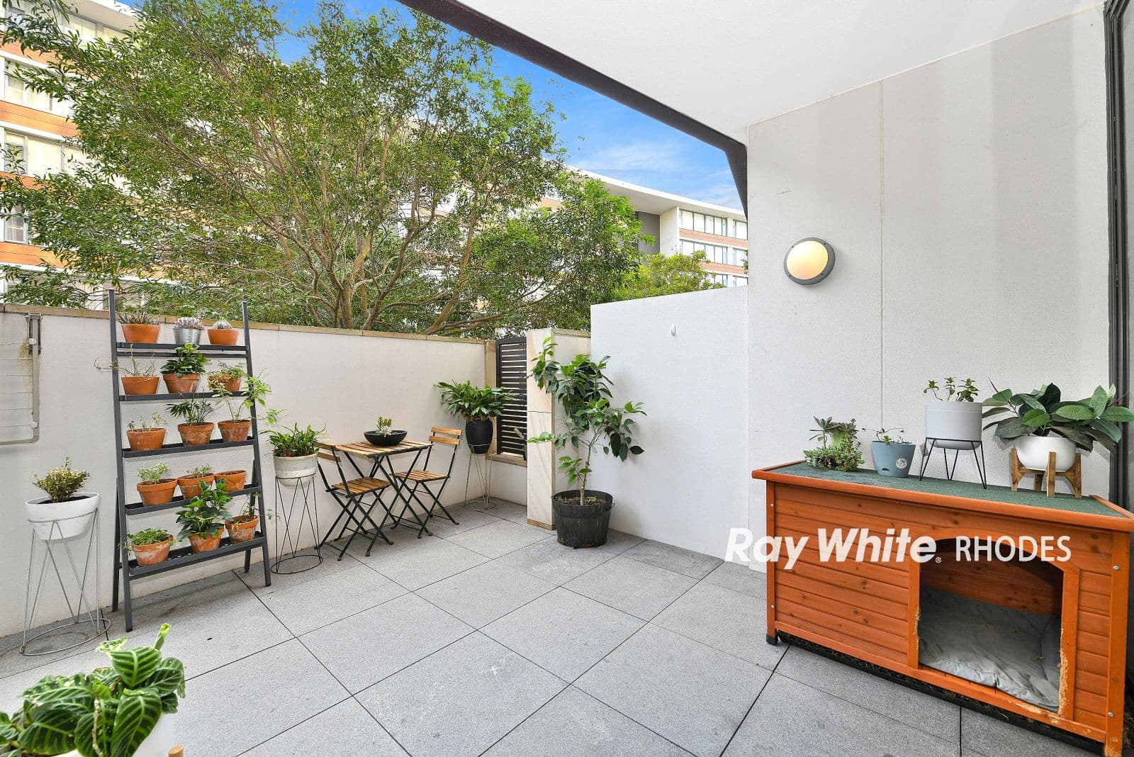 13 Mary Street, Rhodes NSW 2138, Rhodes - Thumbnail 6
