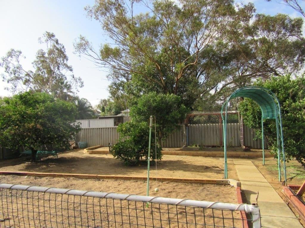 17 Slaughter Street, Three Springs WA 6519, Three Springs - Thumbnail 7