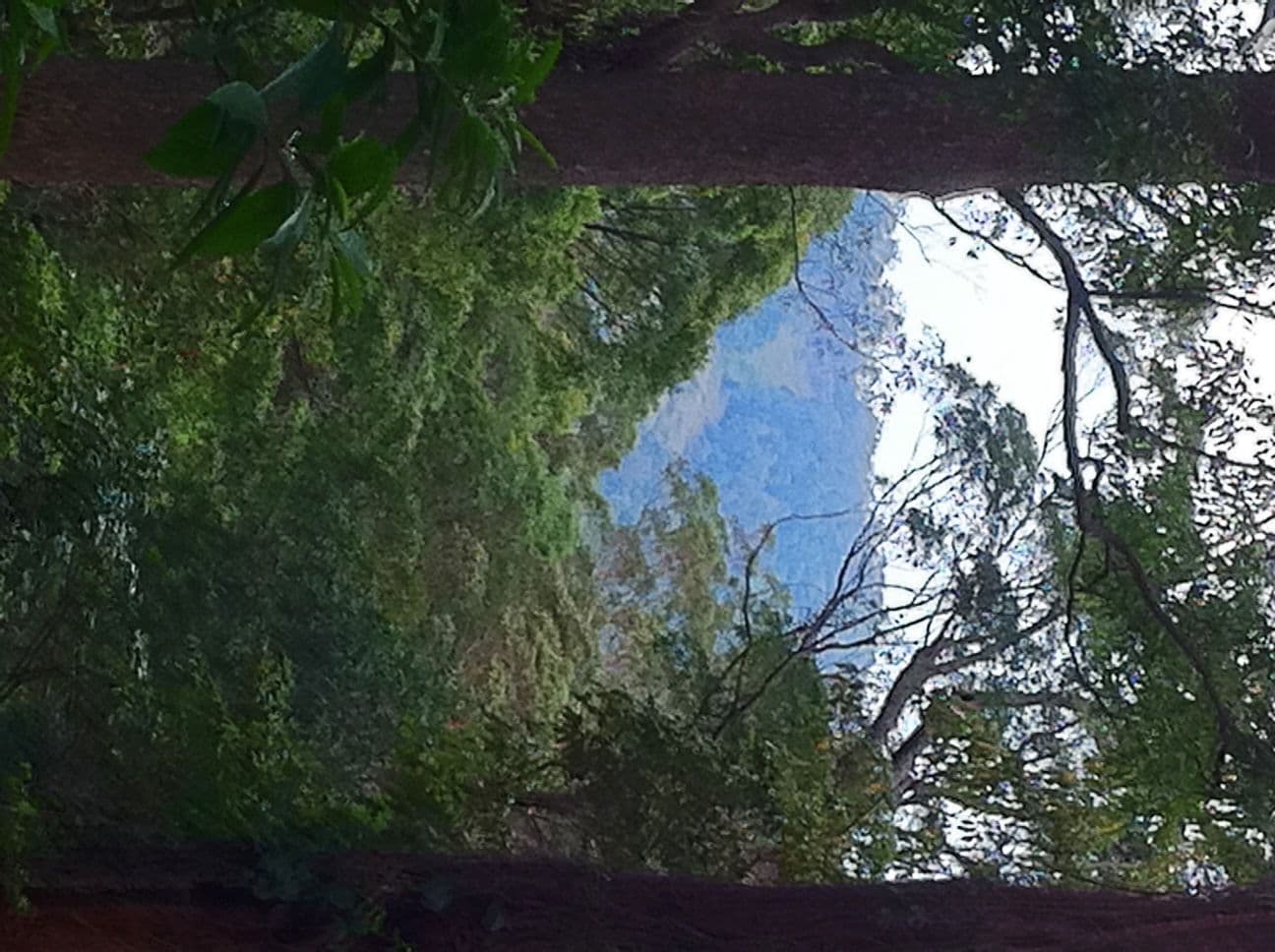 Mount Glorious QLD 4520, Mount Glorious - Thumbnail 2