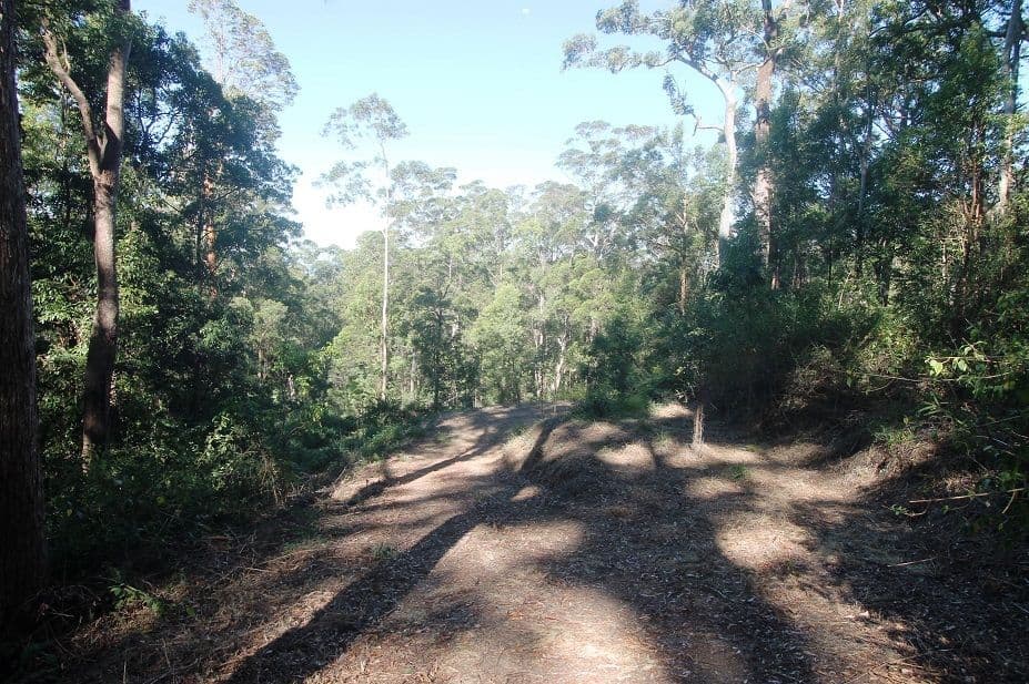 Mount Glorious QLD 4520, Mount Glorious - Thumbnail 3