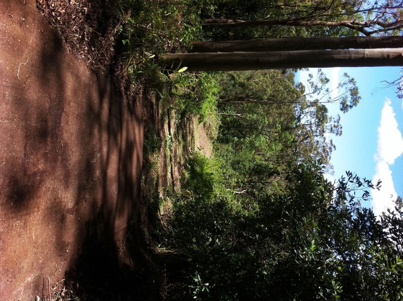 Mount Glorious QLD 4520, Mount Glorious - Thumbnail 6