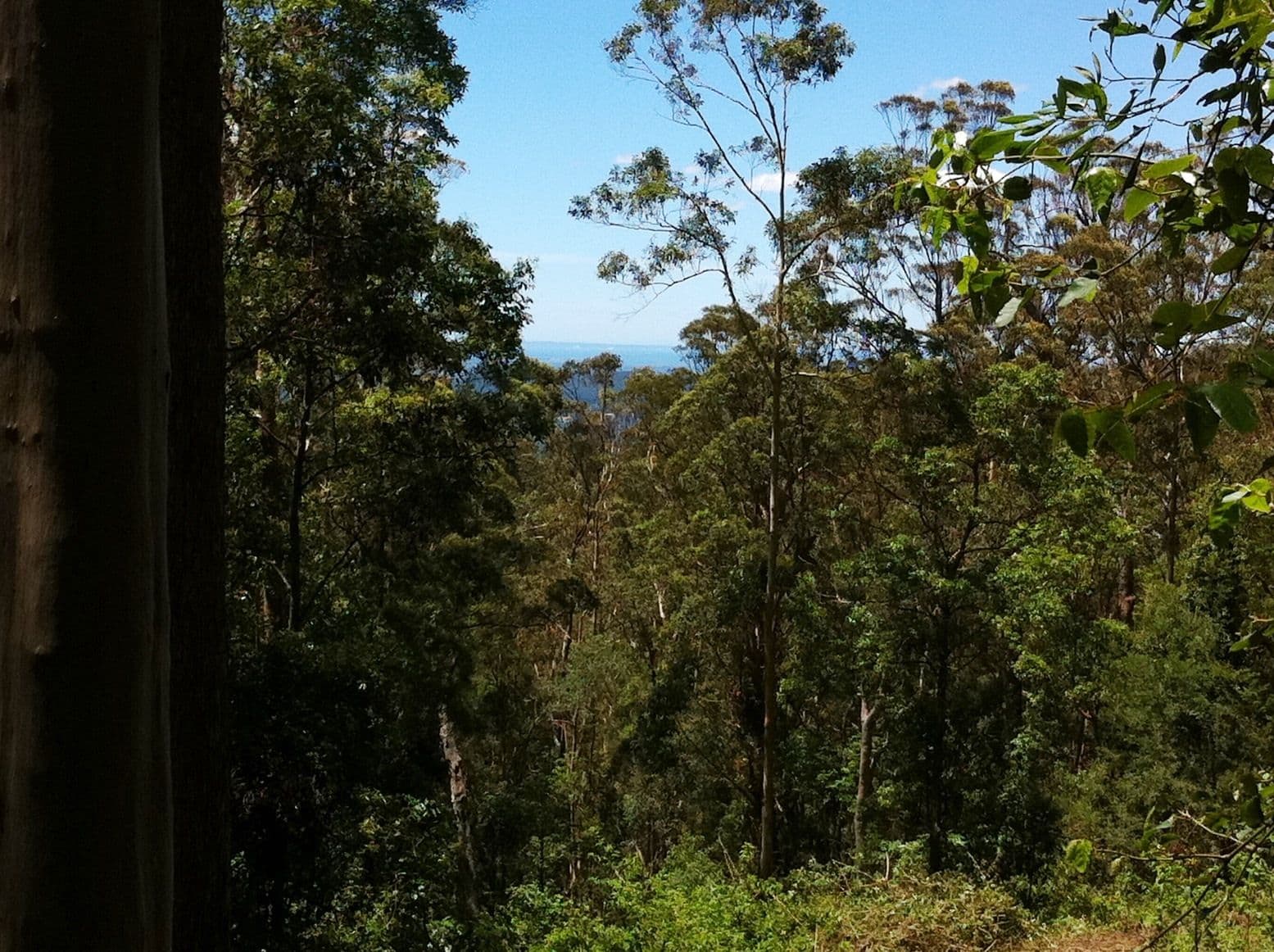Mount Glorious QLD 4520, Mount Glorious - Thumbnail 7