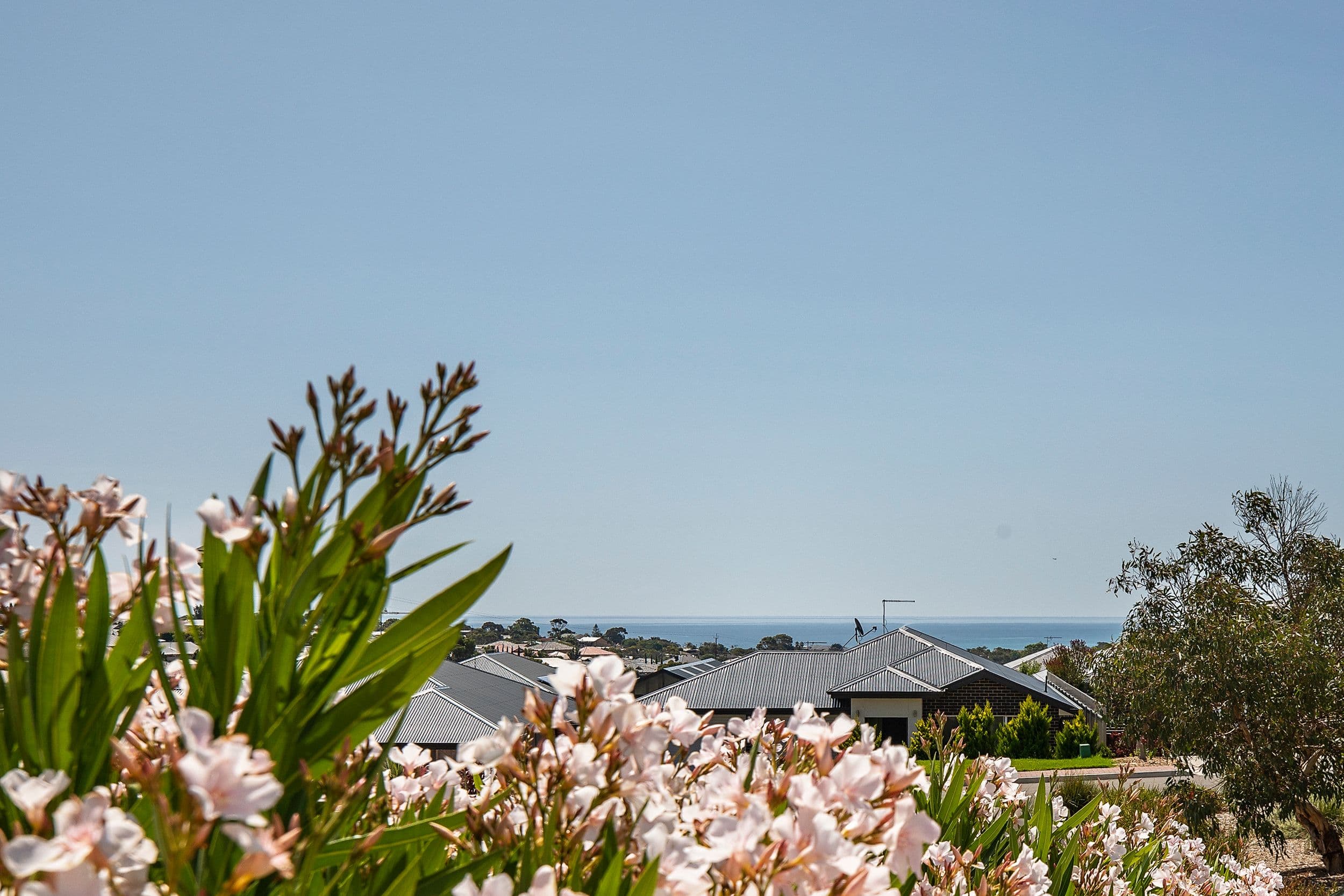 47 Beachport Road, Seaford Rise SA 5169, Seaford Rise - Thumbnail 2
