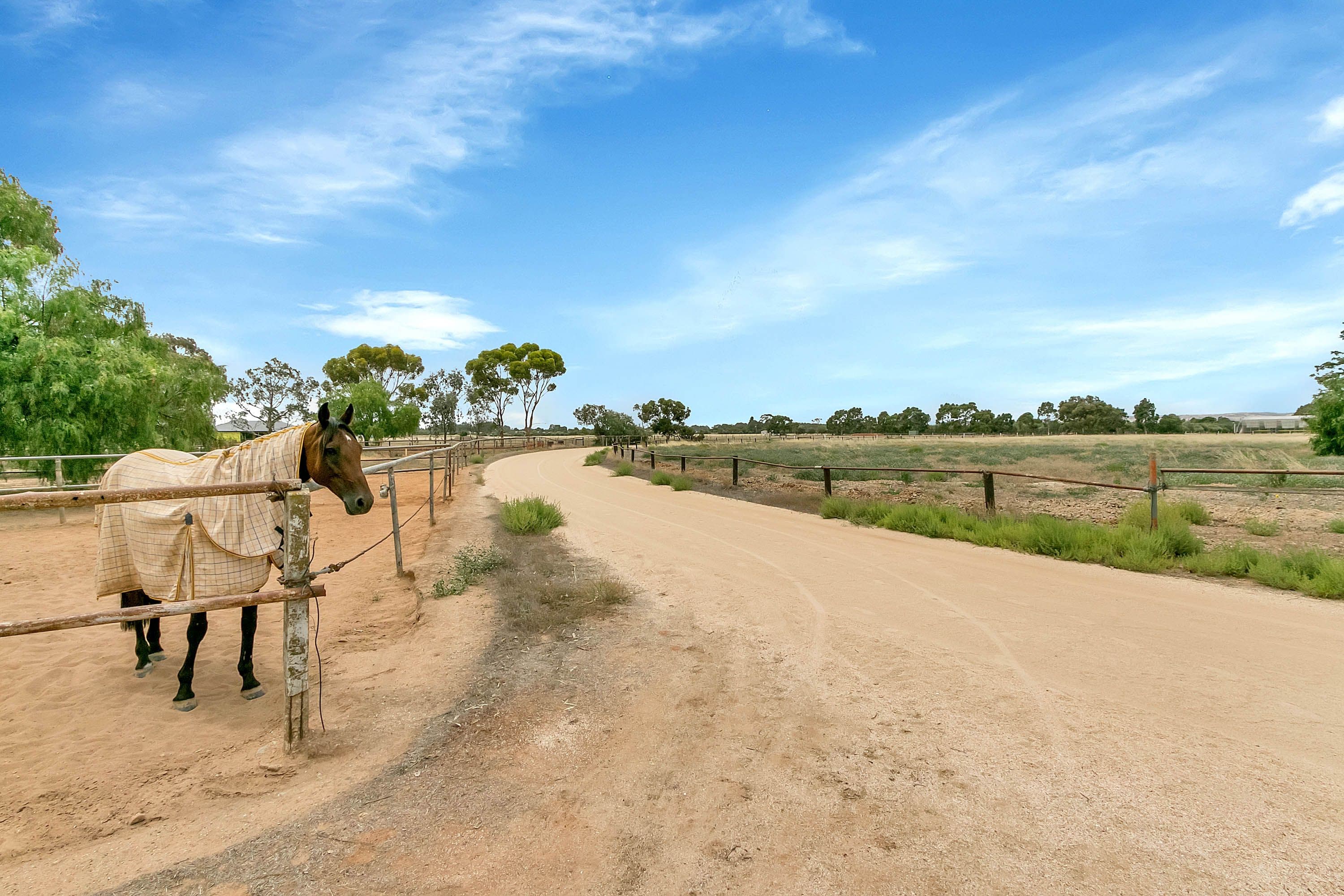 129 Short Road, Penfield Gardens SA 5121, Penfield Gardens - Thumbnail 3