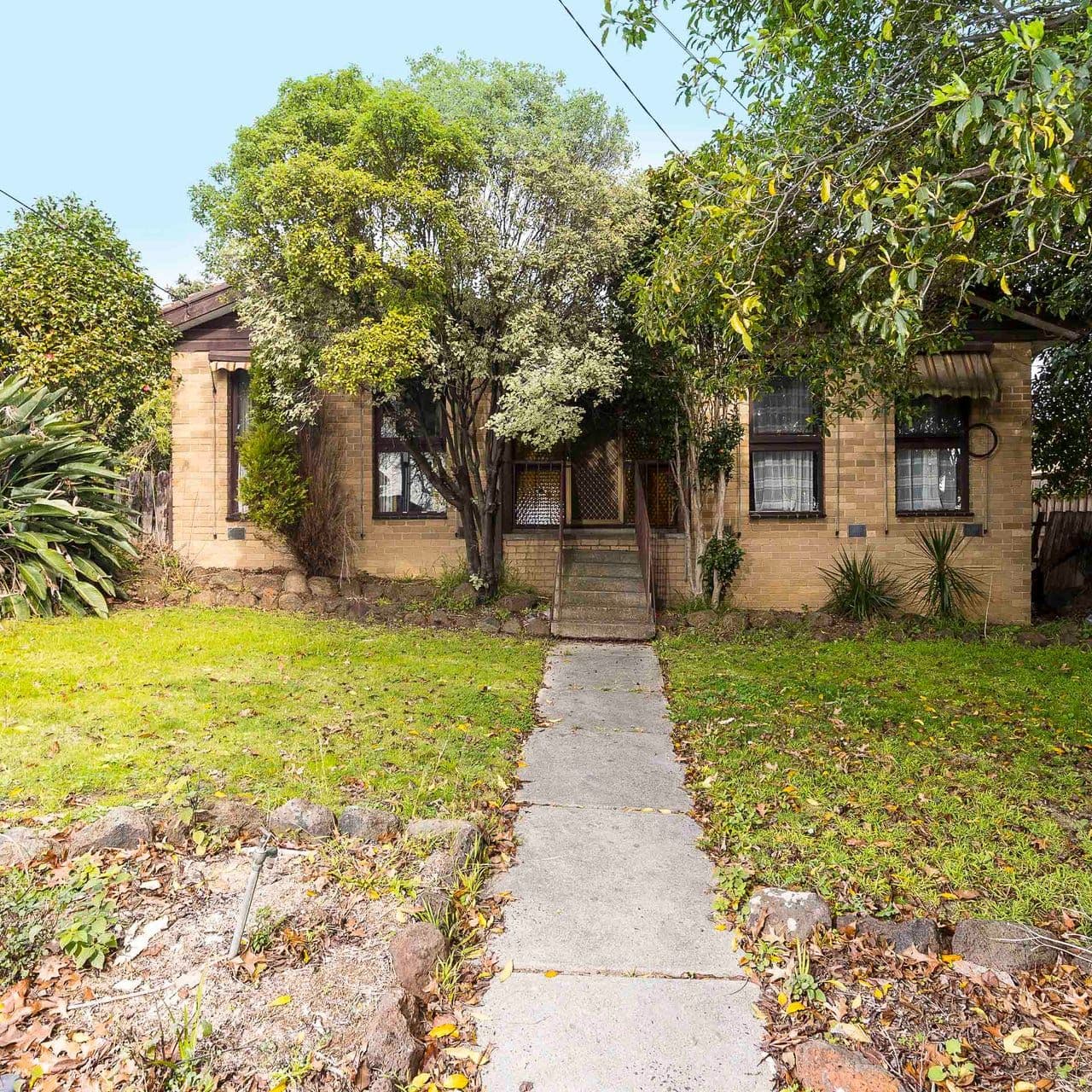 19 Worrall Street, Burwood VIC 3125, Burwood - Thumbnail 4