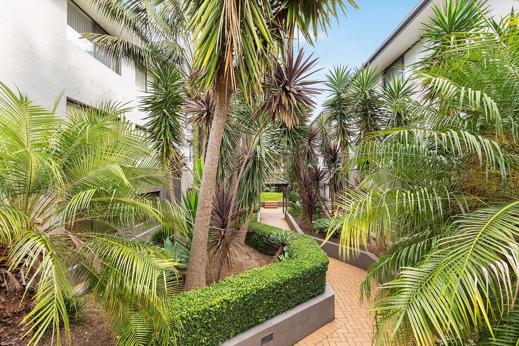 11-17 Quirk Road, Manly Vale NSW 2093, Manly Vale - Thumbnail 8