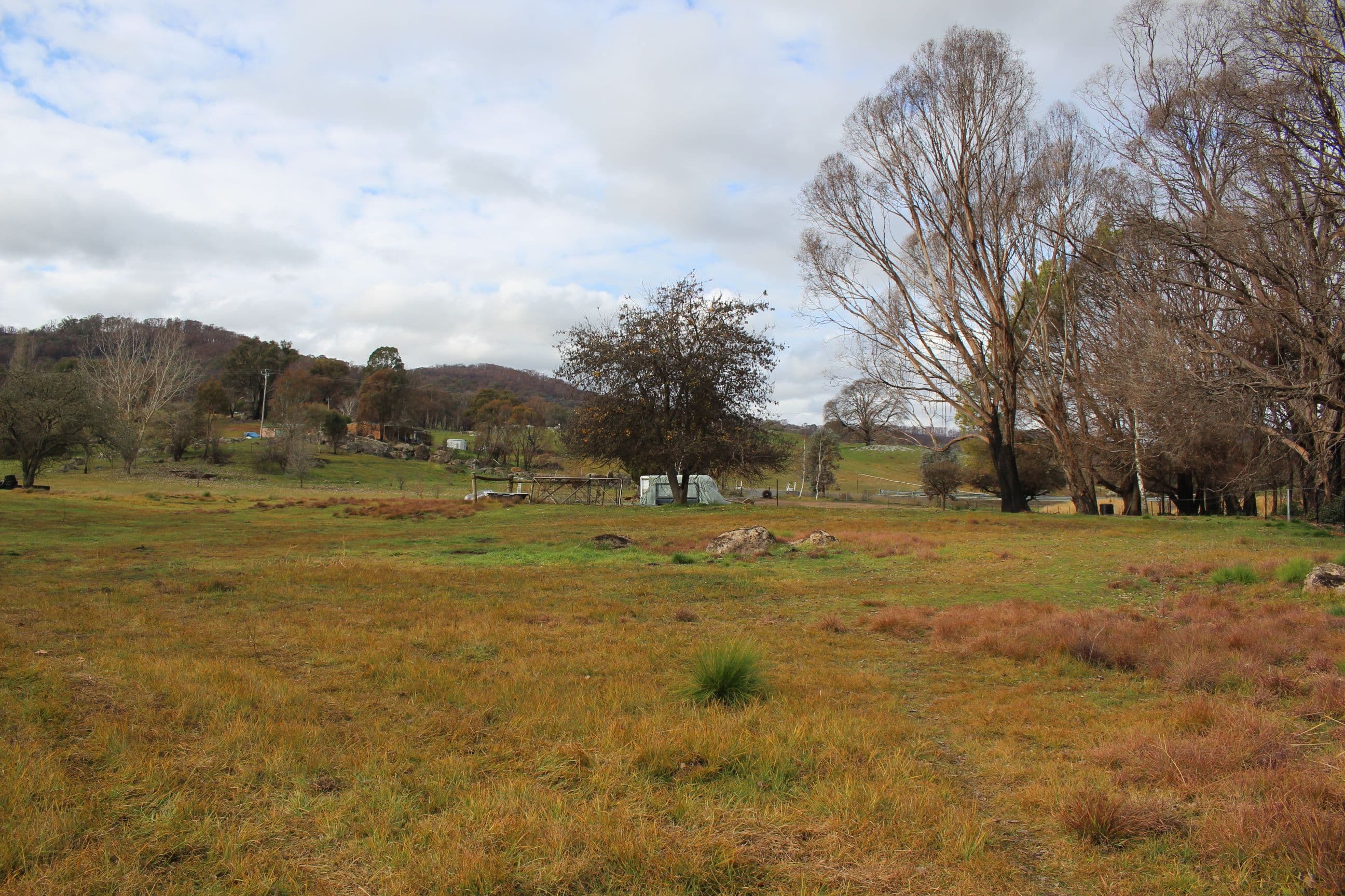 359 Batlow Road, Tumbarumba NSW 2653, Tumbarumba - Thumbnail 4