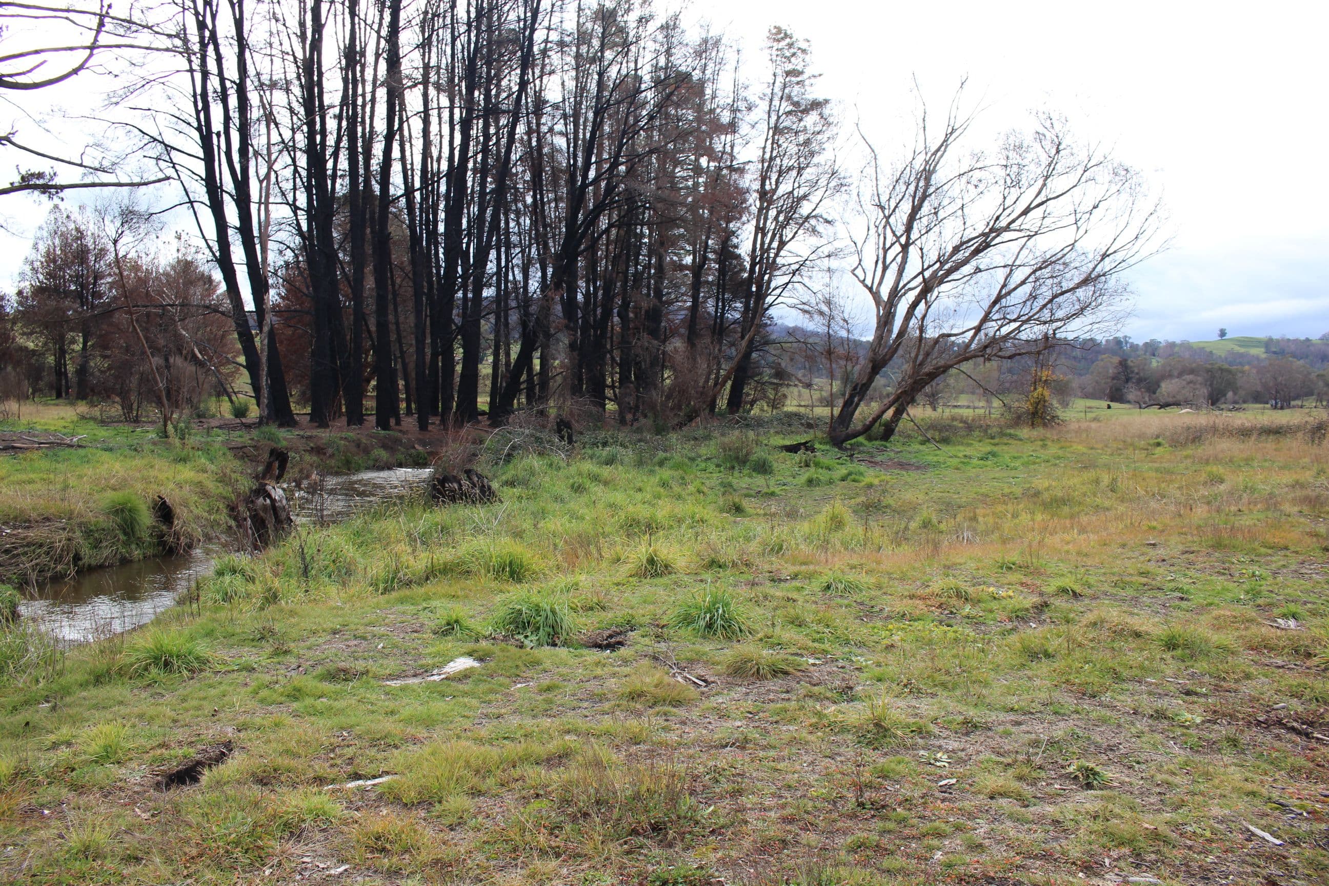 359 Batlow Road, Tumbarumba NSW 2653, Tumbarumba - Thumbnail 5