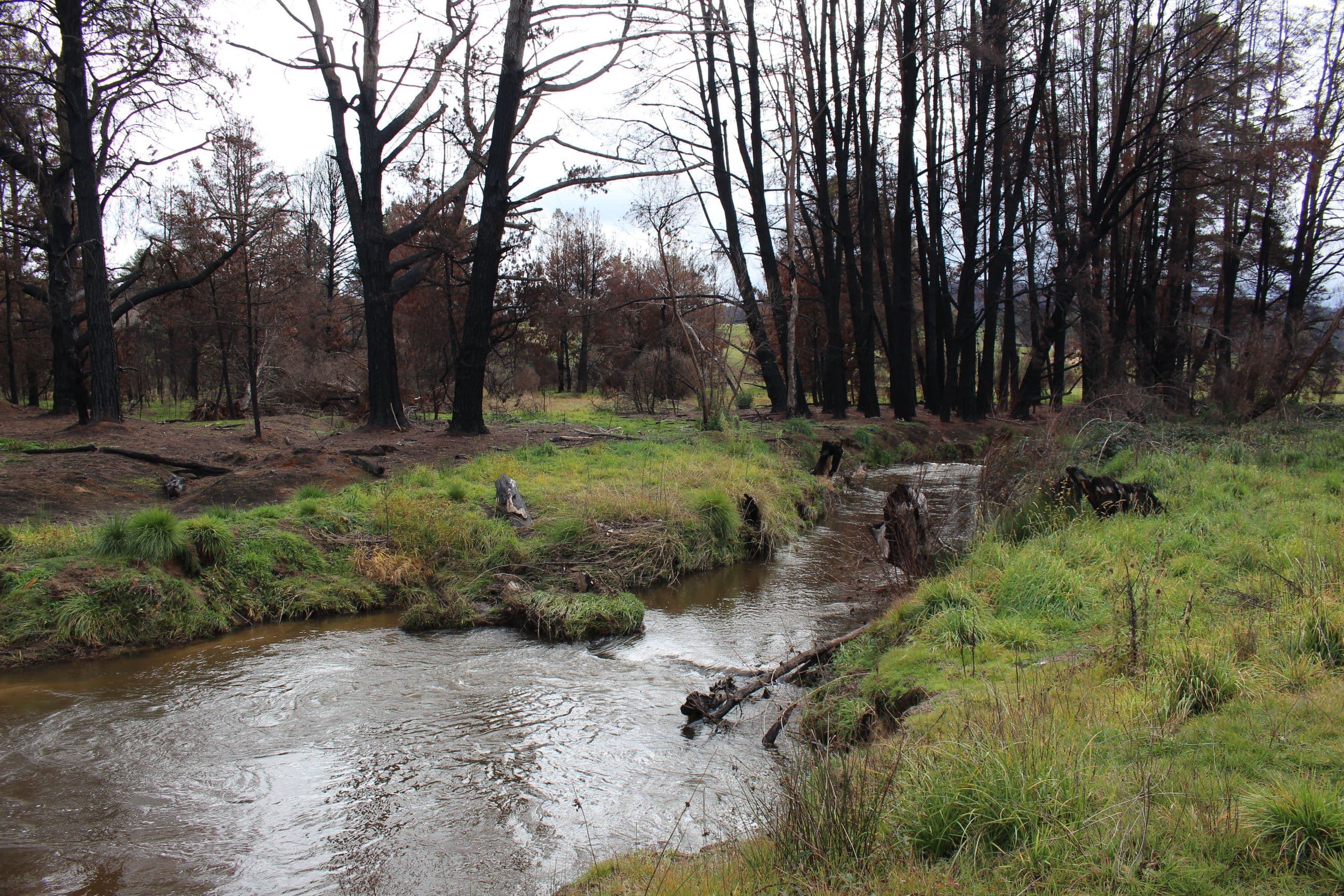 359 Batlow Road, Tumbarumba NSW 2653, Tumbarumba - Thumbnail 6