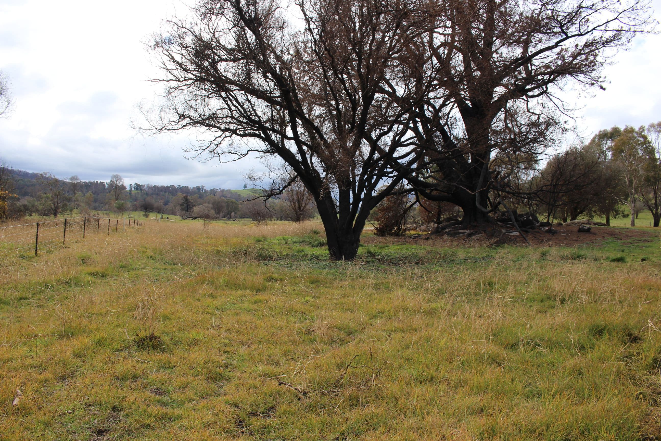 359 Batlow Road, Tumbarumba NSW 2653, Tumbarumba - Thumbnail 7