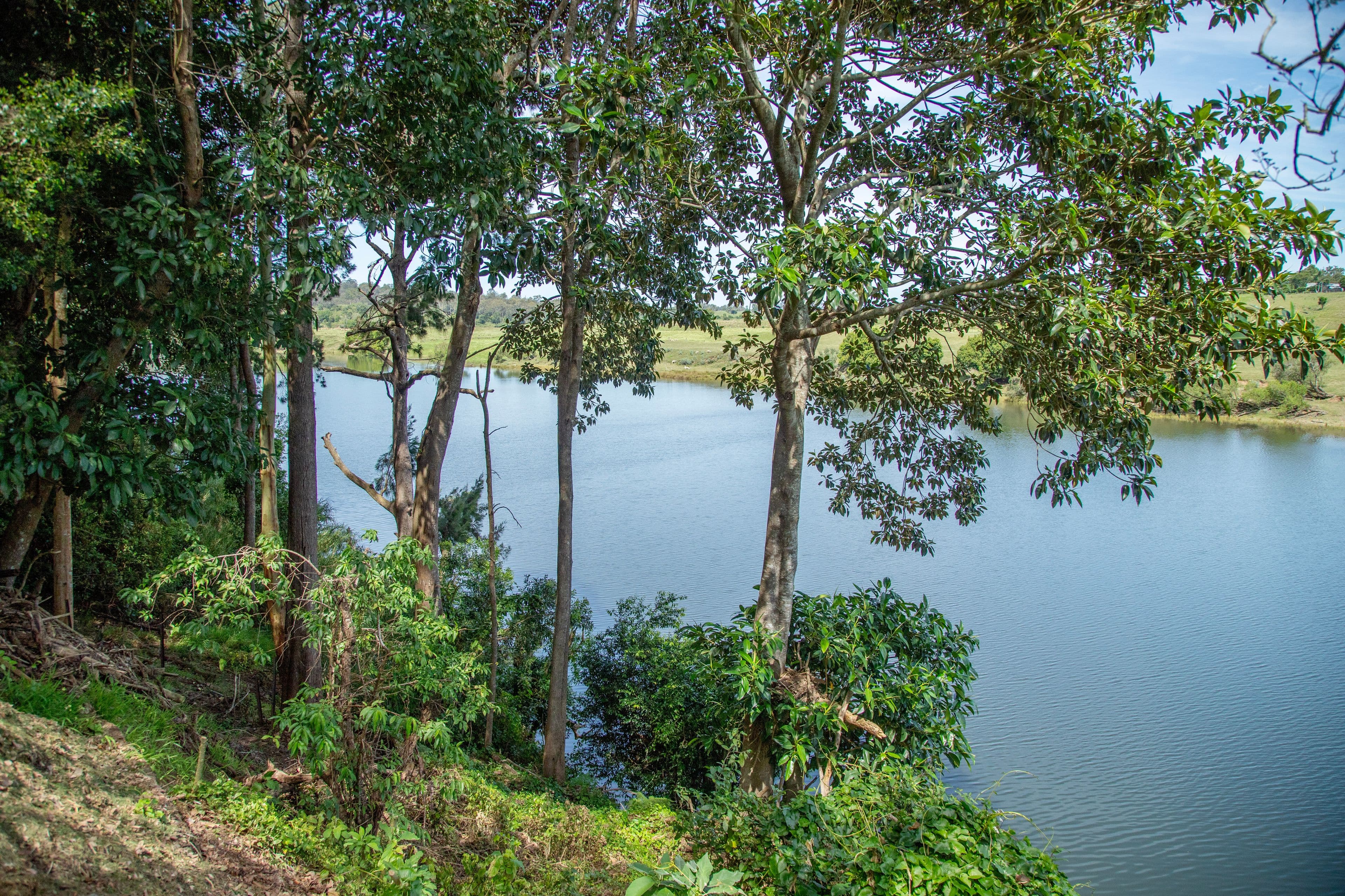 18 East Combined Street, Wingham NSW 2429, Wingham - Image 1