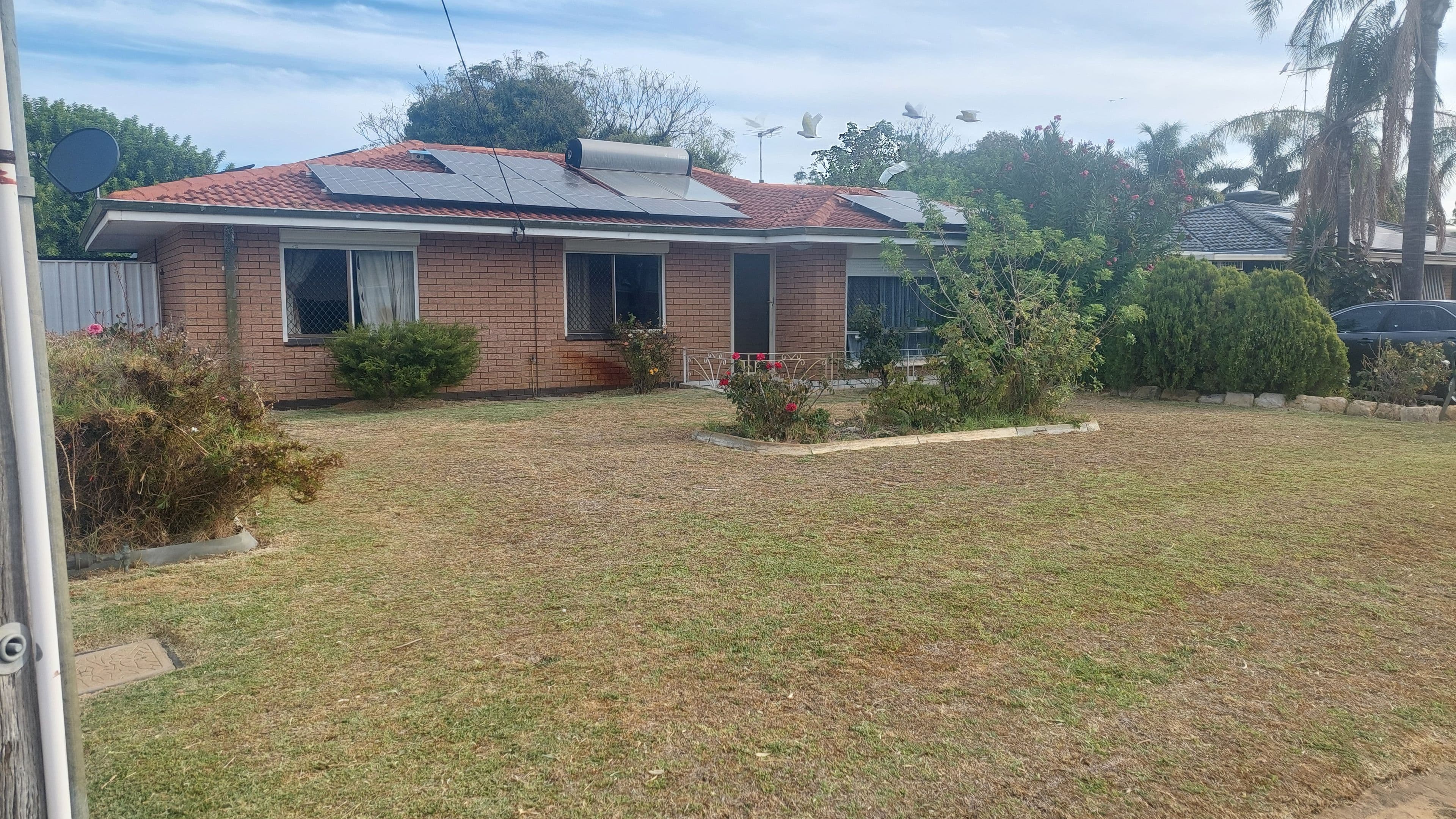 11 Myerick Street, Mandurah WA 6210, Mandurah - Image 1