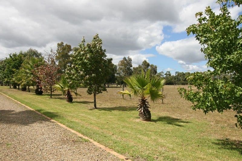 985 Robinsons Road, PEARCEDALE VIC 3912, Pearcedale - Thumbnail 2