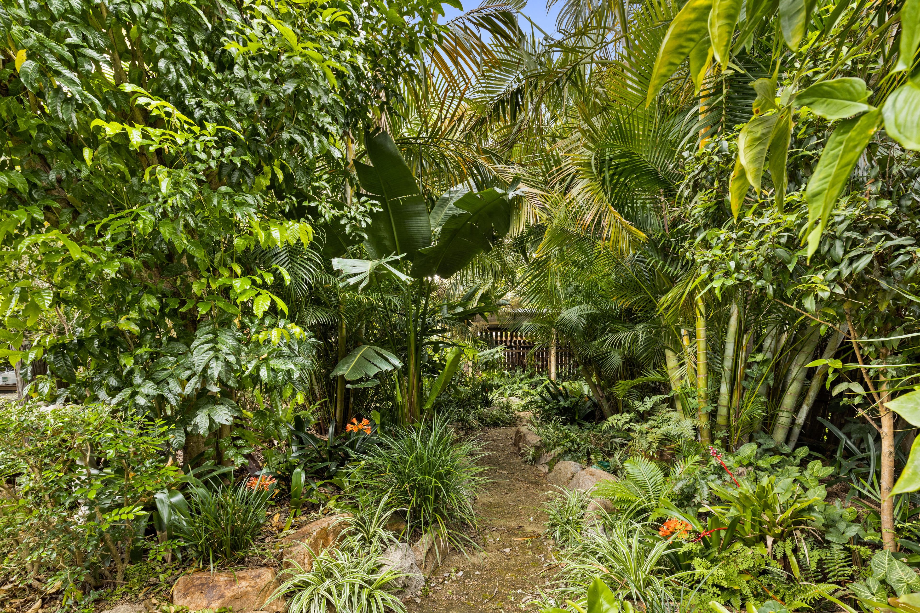 12 Granville Street, Wilston QLD 4051, Wilston - Thumbnail 6
