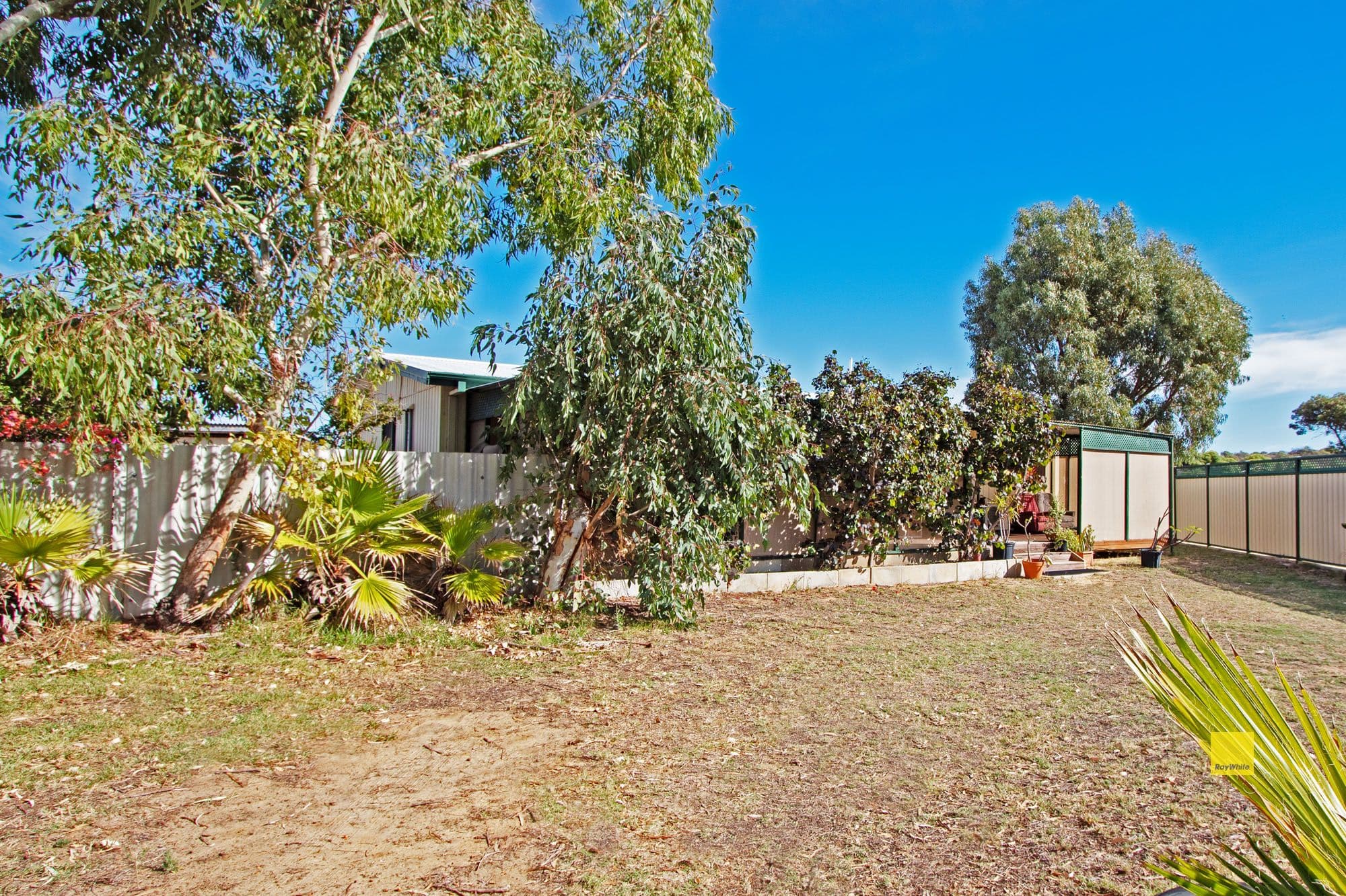 4 Morrison Place, Leeman WA 6514, Leeman - Thumbnail 6