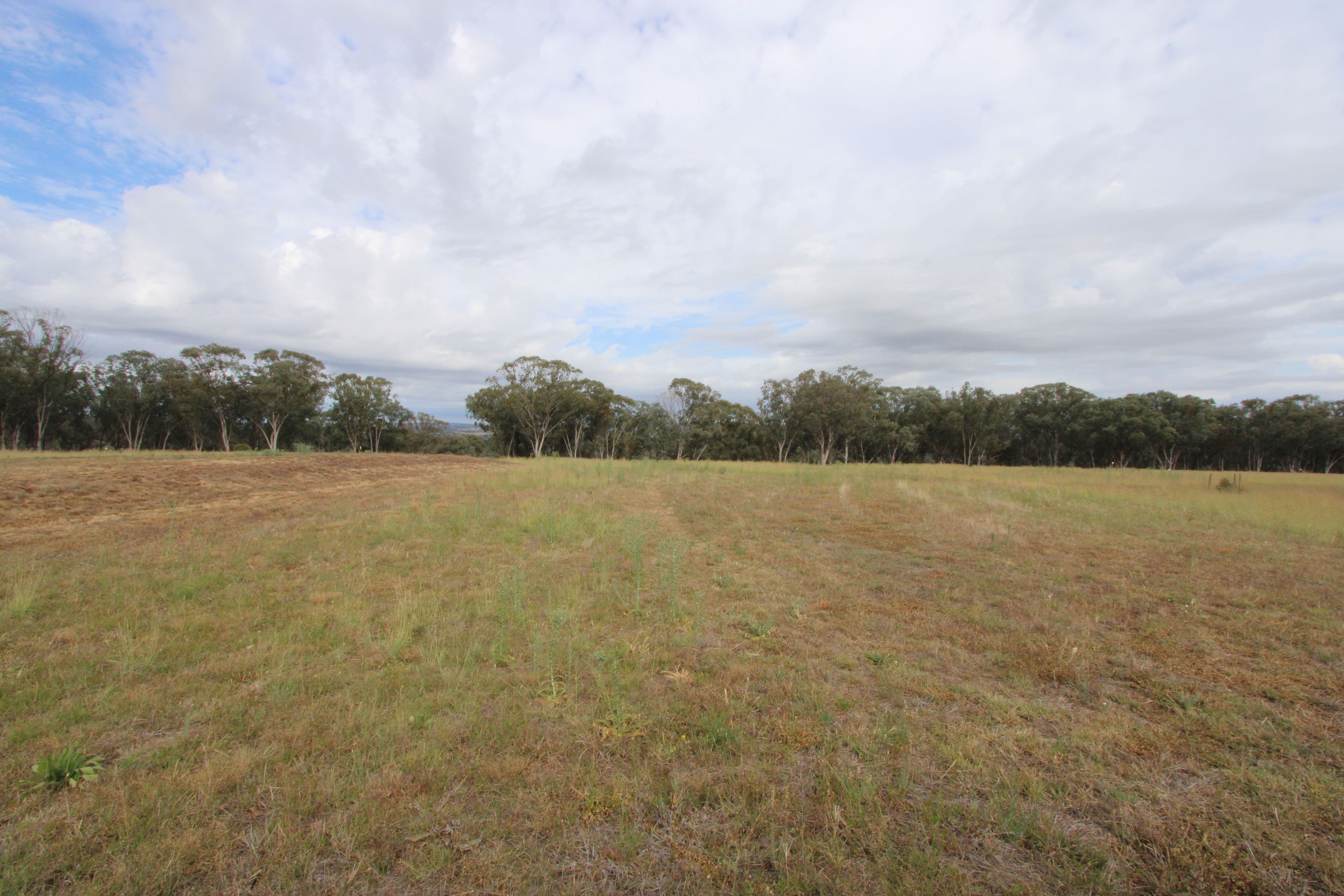 Lot 27 Sylvan Drive, Inverell NSW 2360, Inverell - Thumbnail 3