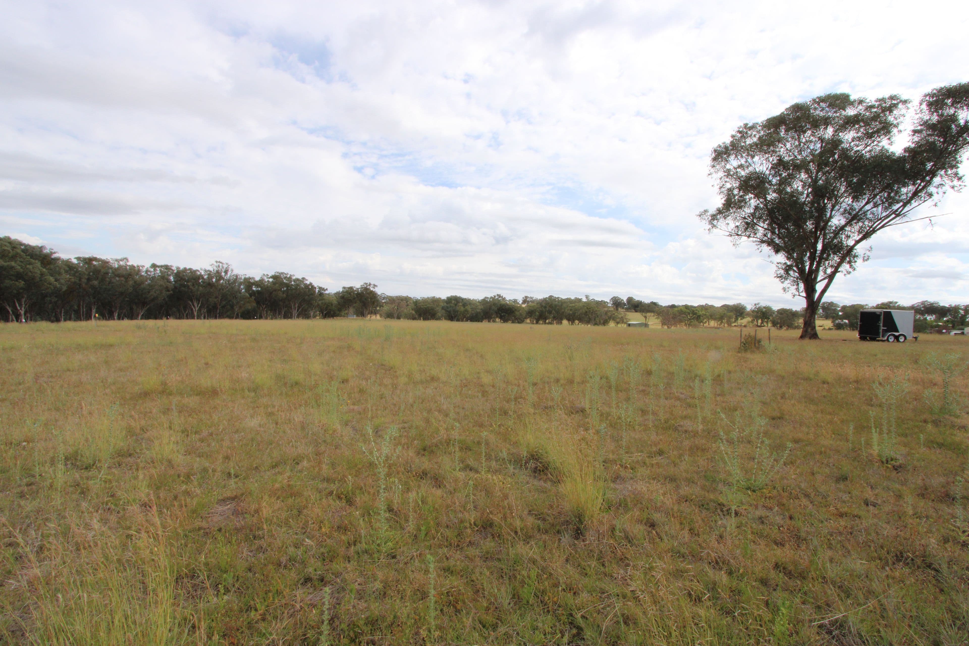 Lot 27 Sylvan Drive, Inverell NSW 2360, Inverell - Thumbnail 6