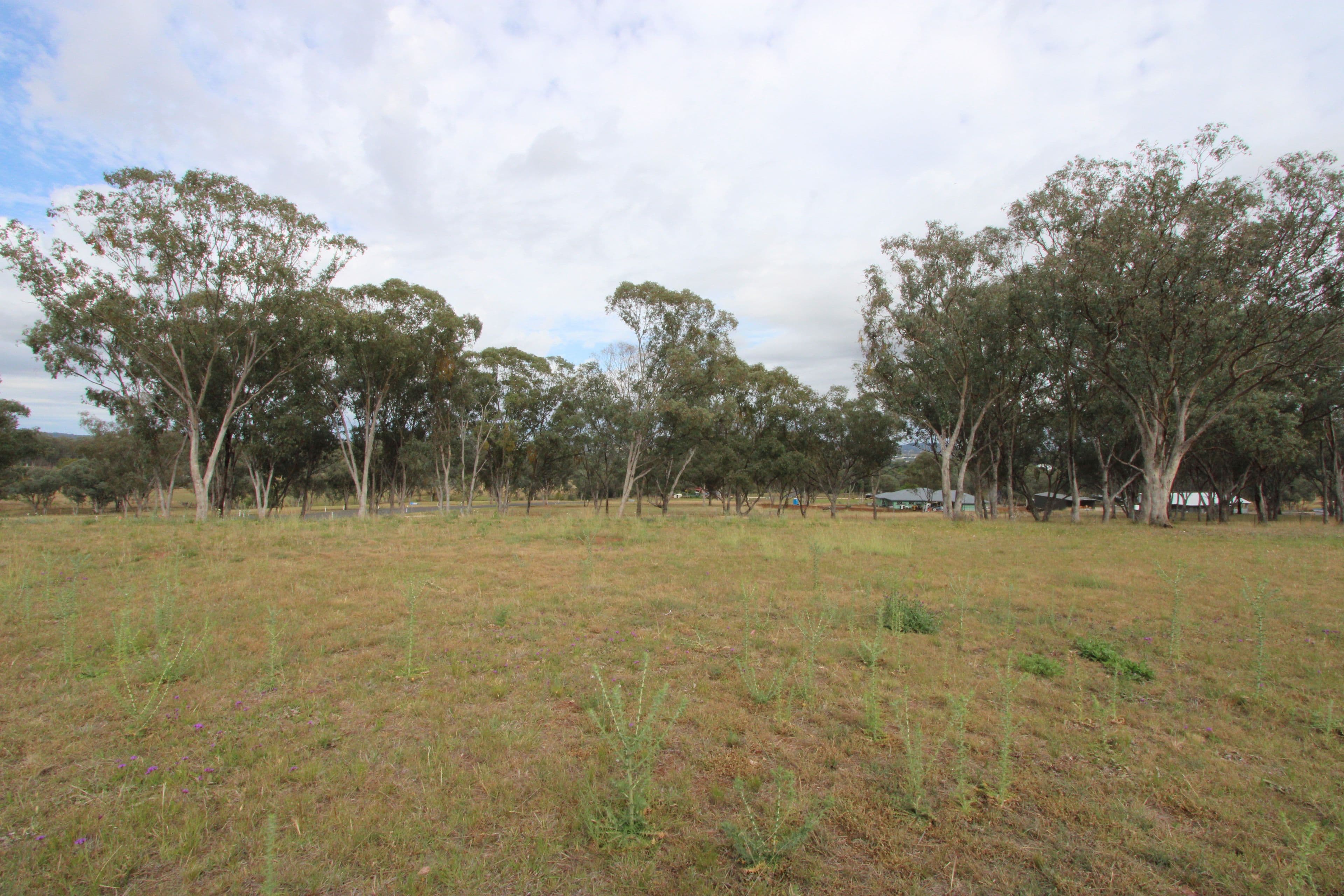 Lot 27 Sylvan Drive, Inverell NSW 2360, Inverell - Thumbnail 8