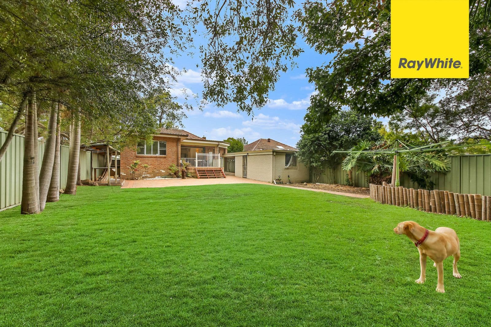 12 Allambee Crescent, Beverly Hills - Thumbnail 6