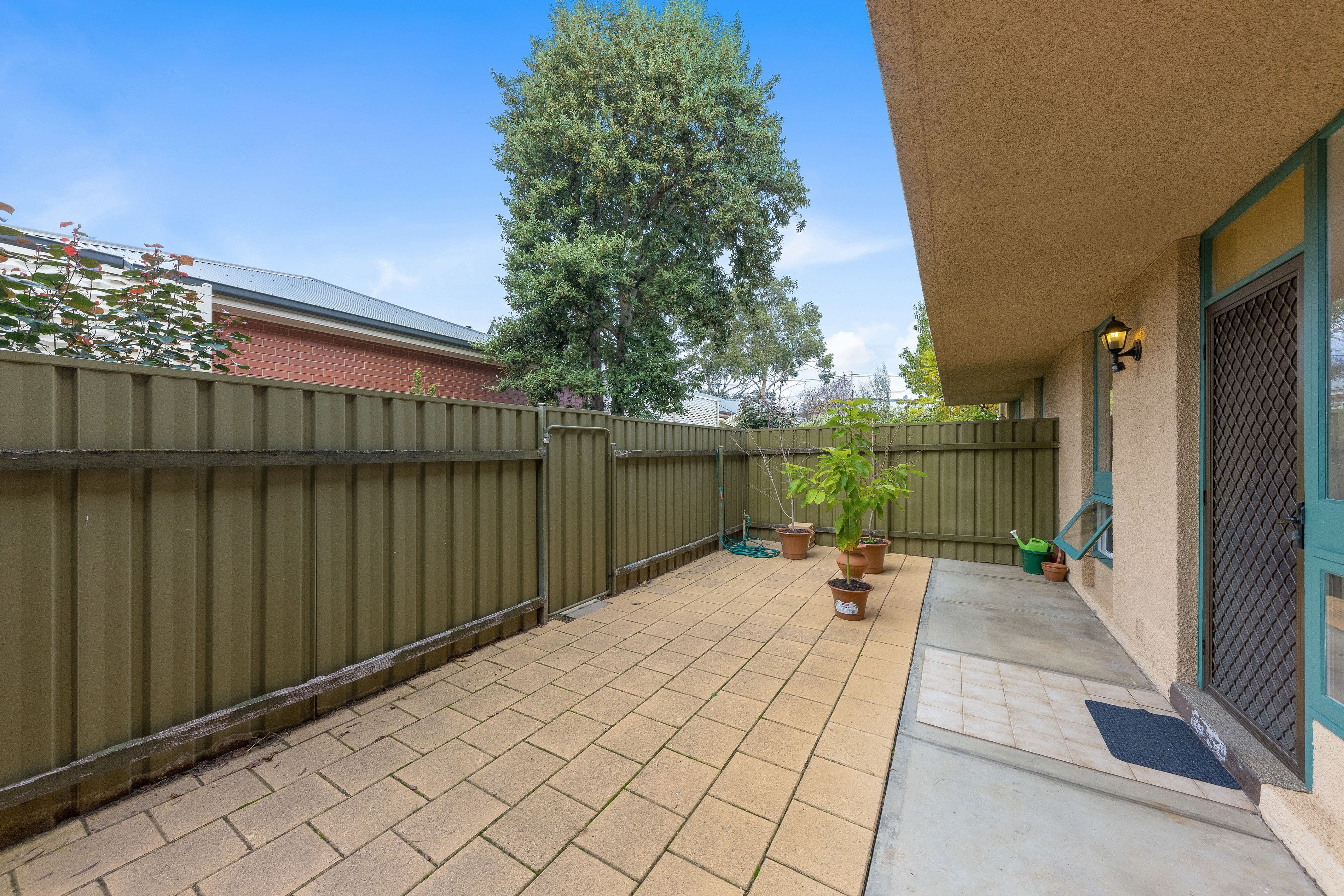 17 Rosella Street, Payneham SA 5070, Payneham - Thumbnail 8