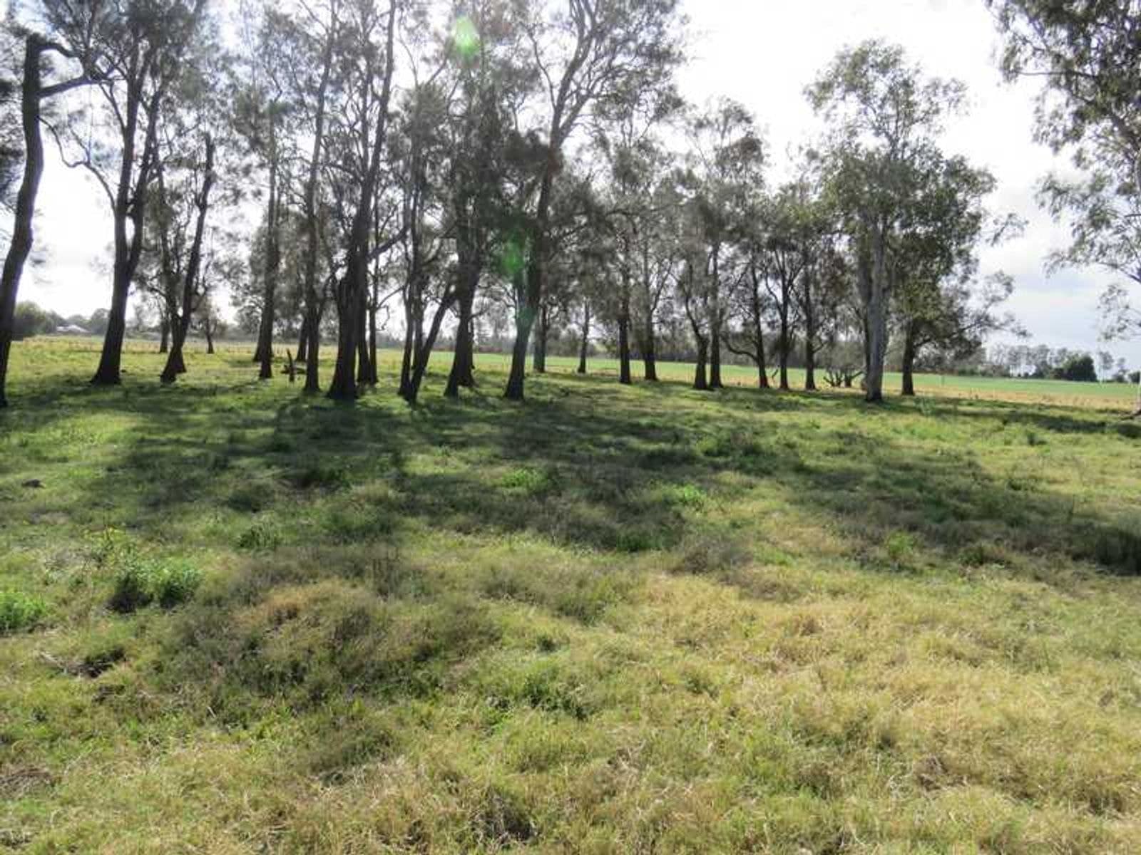 865 Coraki-Woodburn Road, Swan Bay - Thumbnail 4