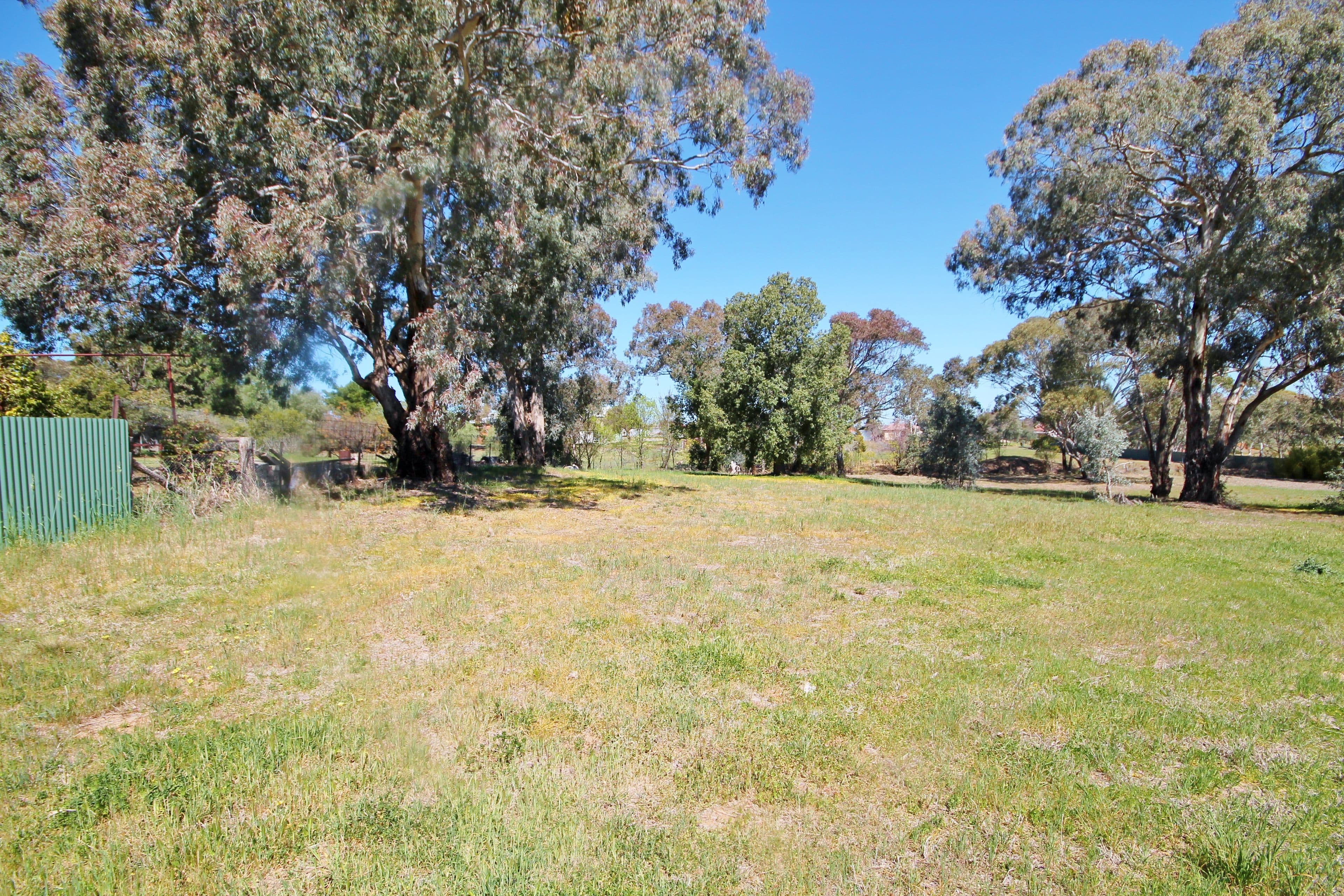 38A William Street, Young NSW 2594, Young - Image 1