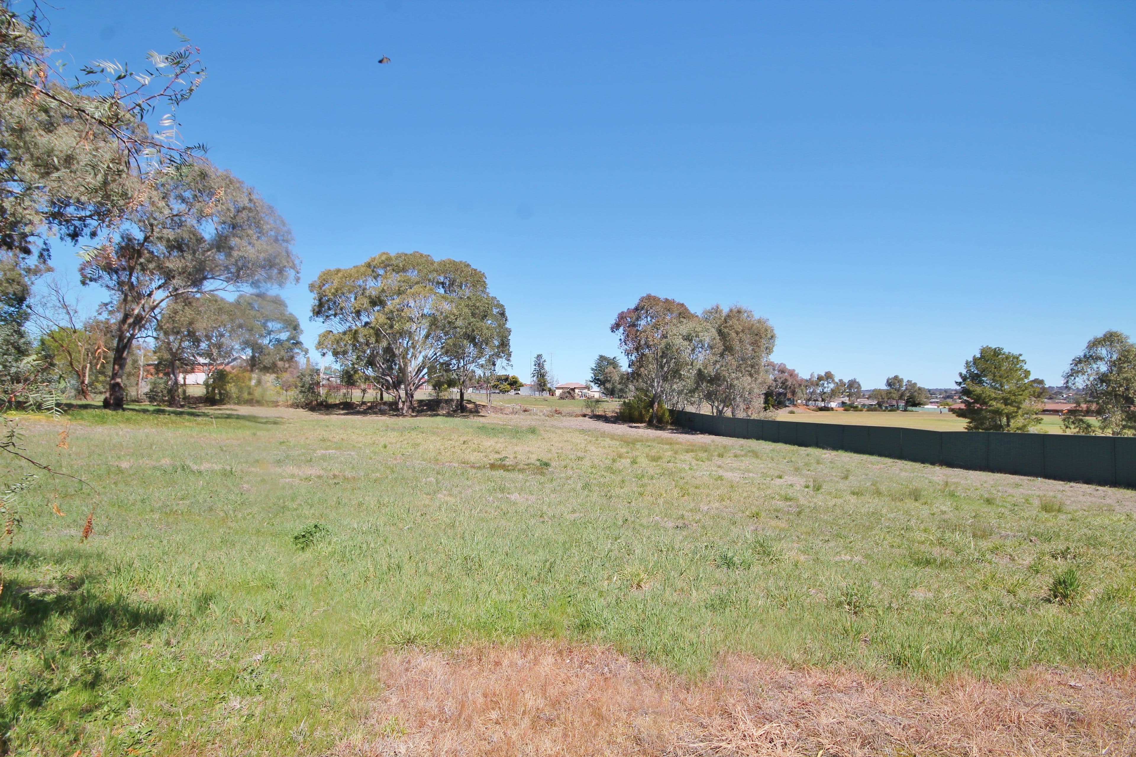 38A William Street, Young NSW 2594, Young - Thumbnail 2