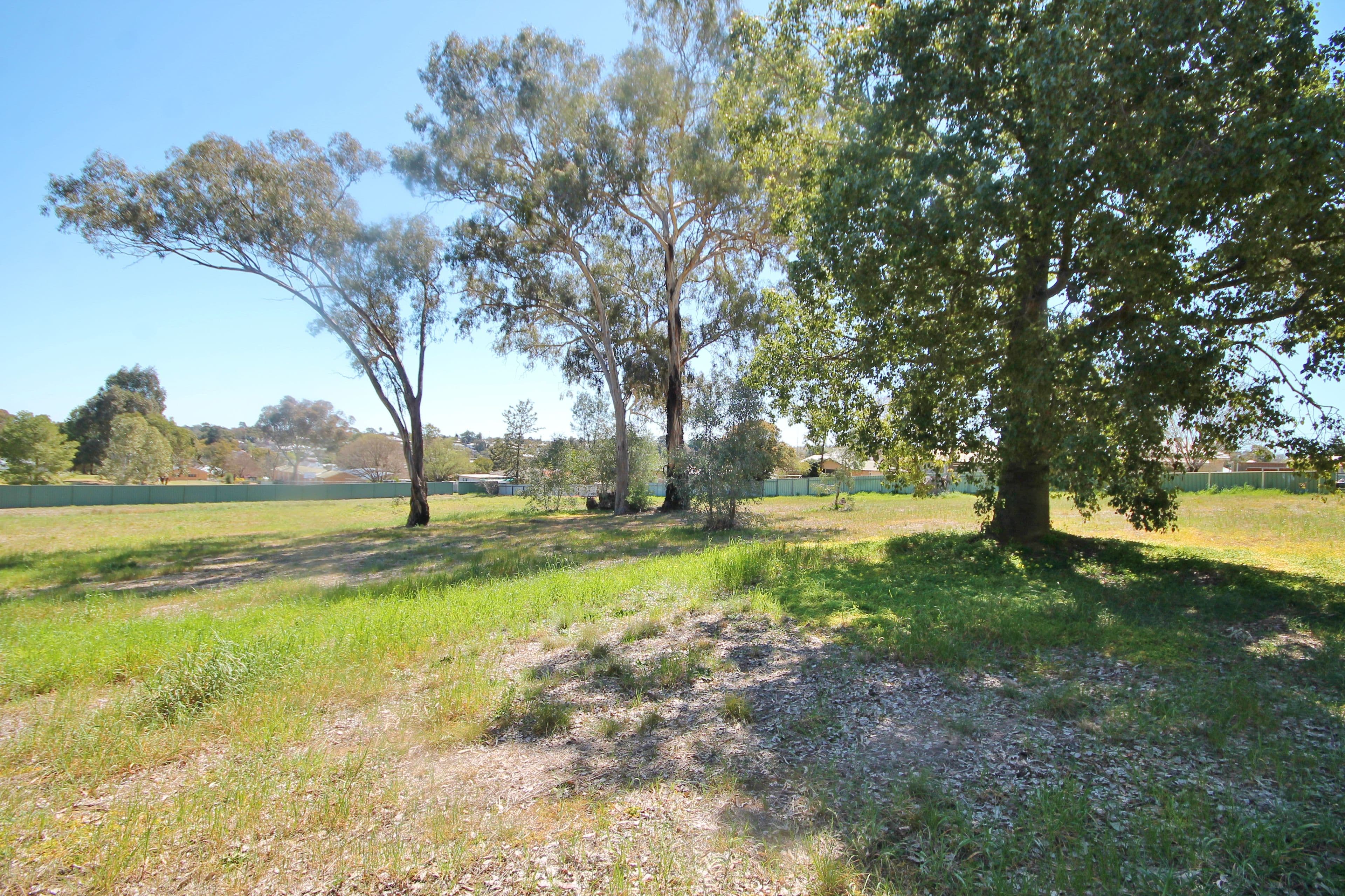 38A William Street, Young NSW 2594, Young - Thumbnail 4