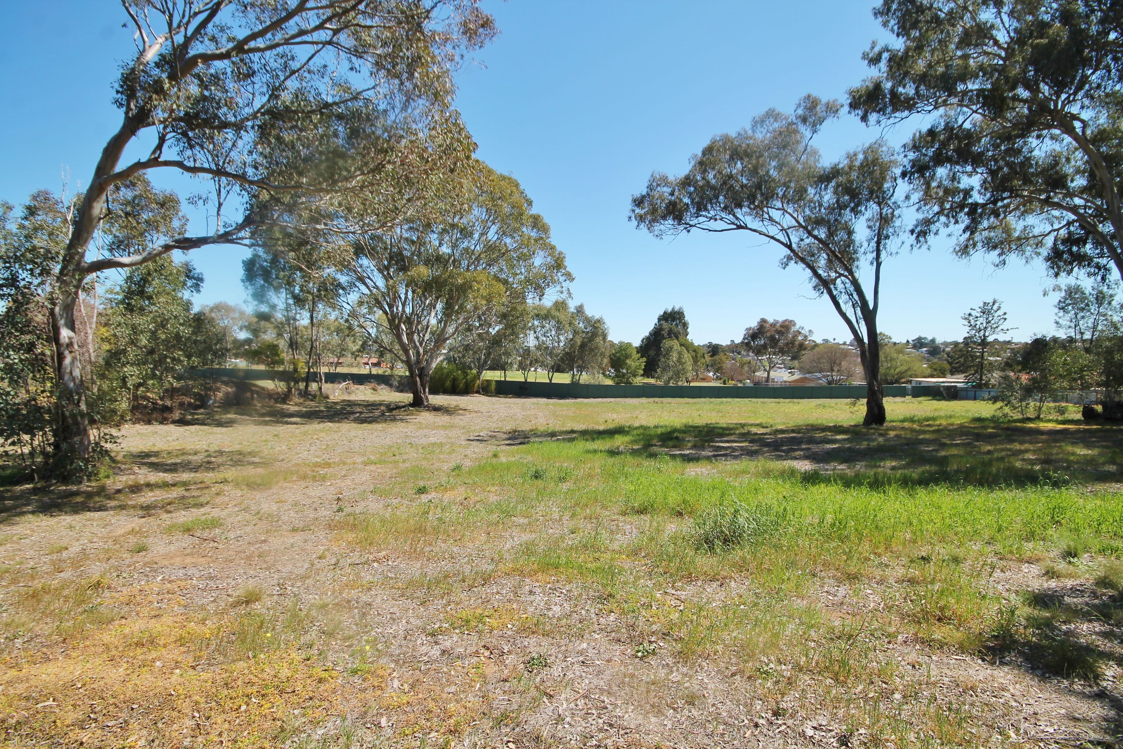 38A William Street, Young NSW 2594, Young - Thumbnail 5