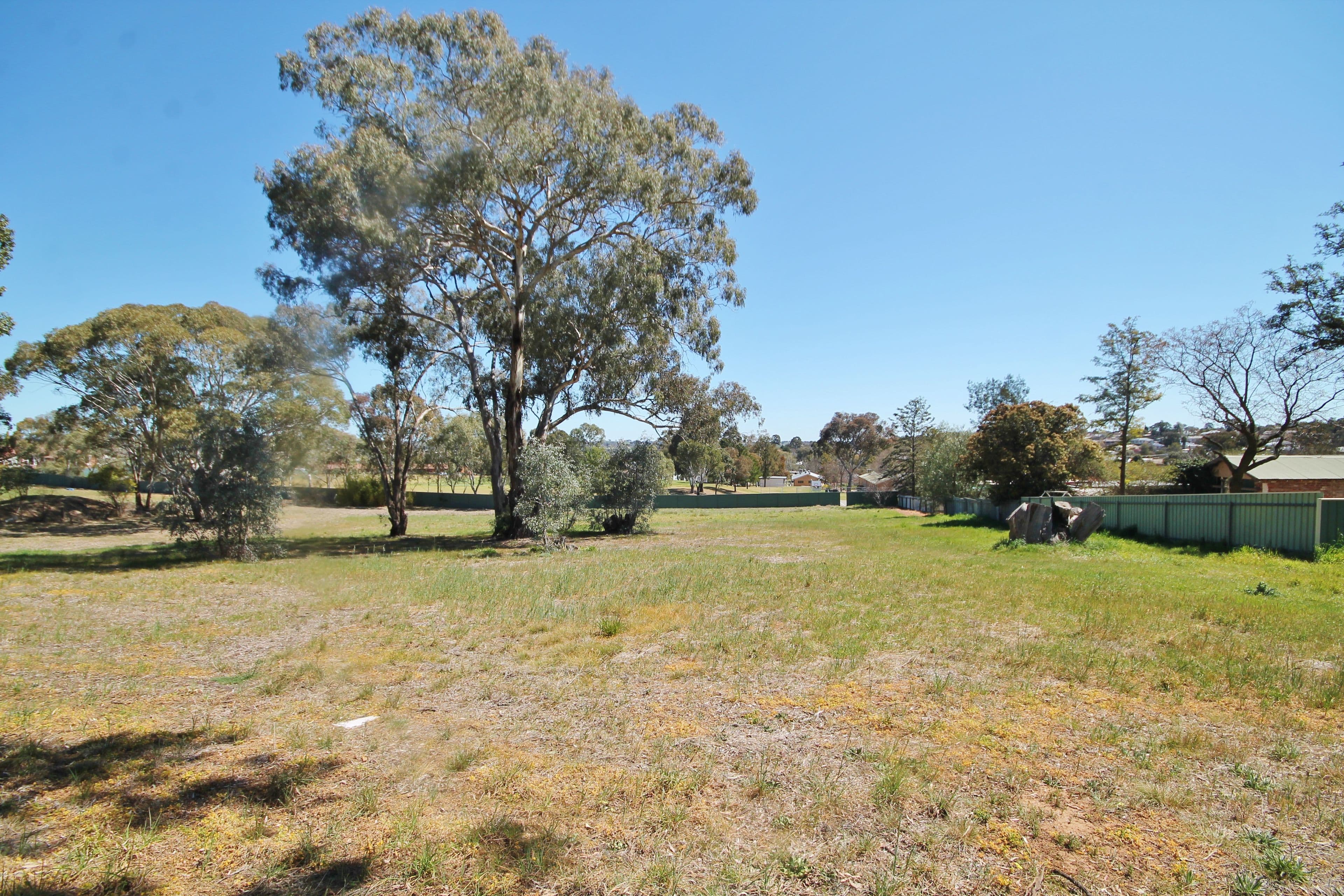 38A William Street, Young NSW 2594, Young - Thumbnail 6