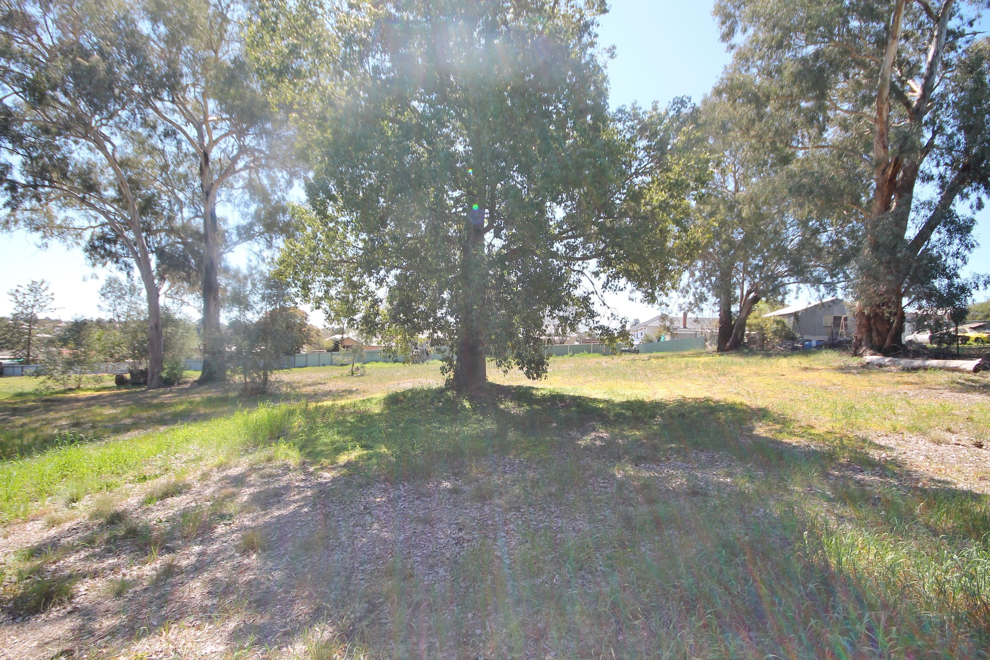 38A William Street, Young NSW 2594, Young - Thumbnail 7