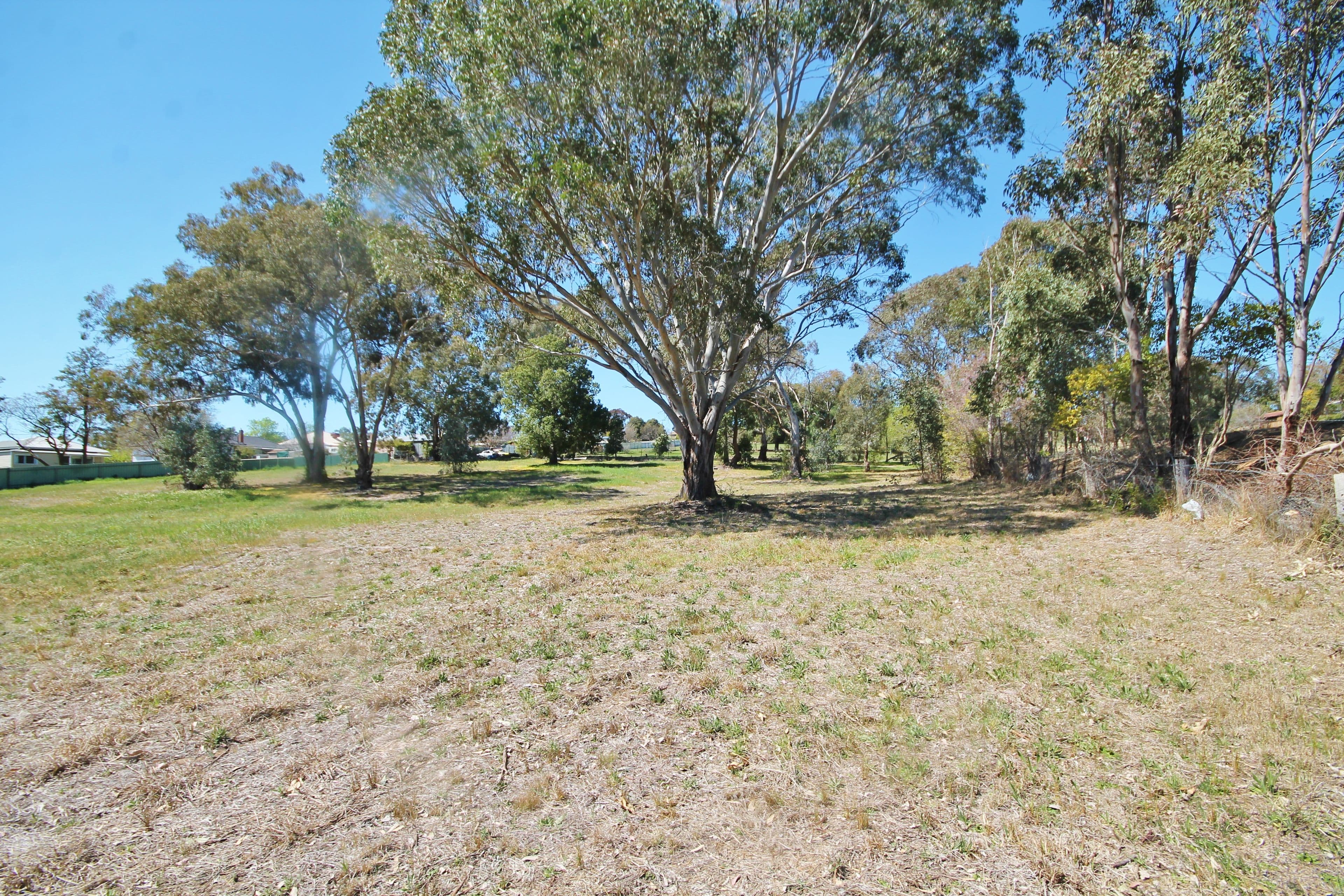 38A William Street, Young NSW 2594, Young - Thumbnail 8