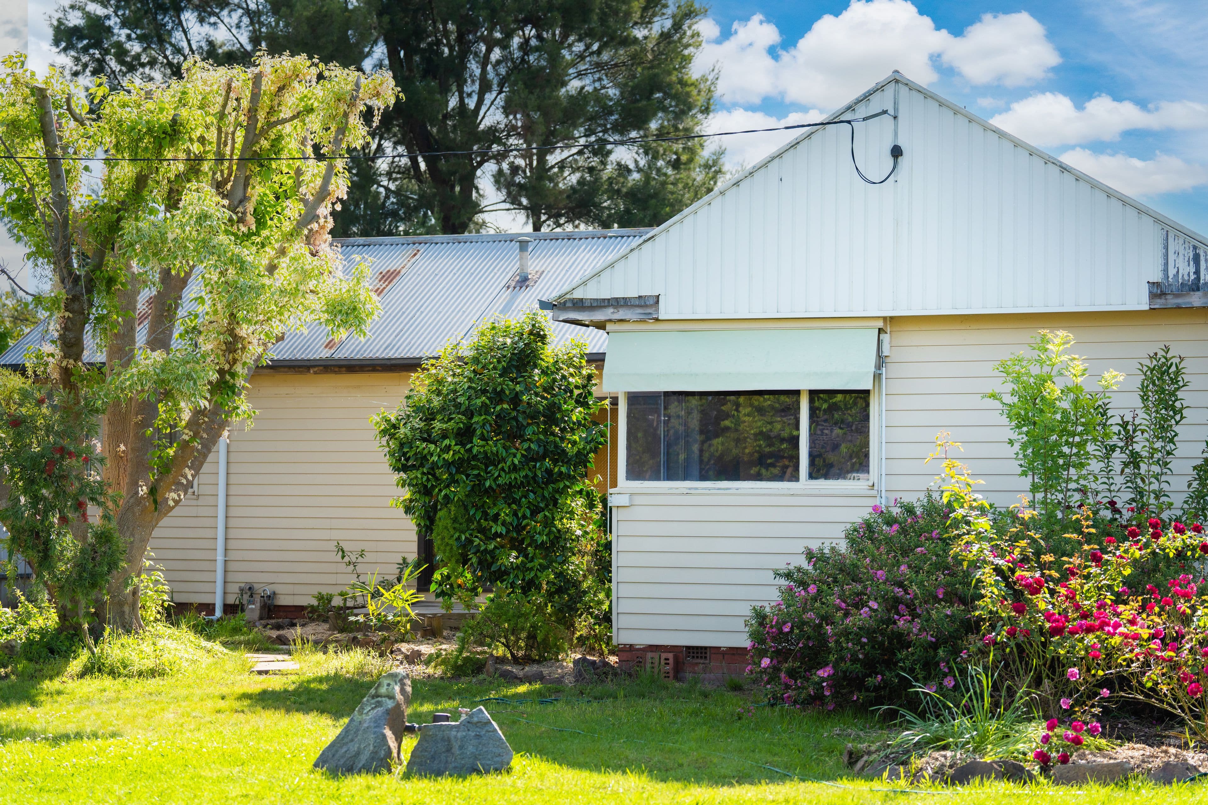 341 Wahroonga Road, Lavington NSW 2641, Lavington - Thumbnail 3