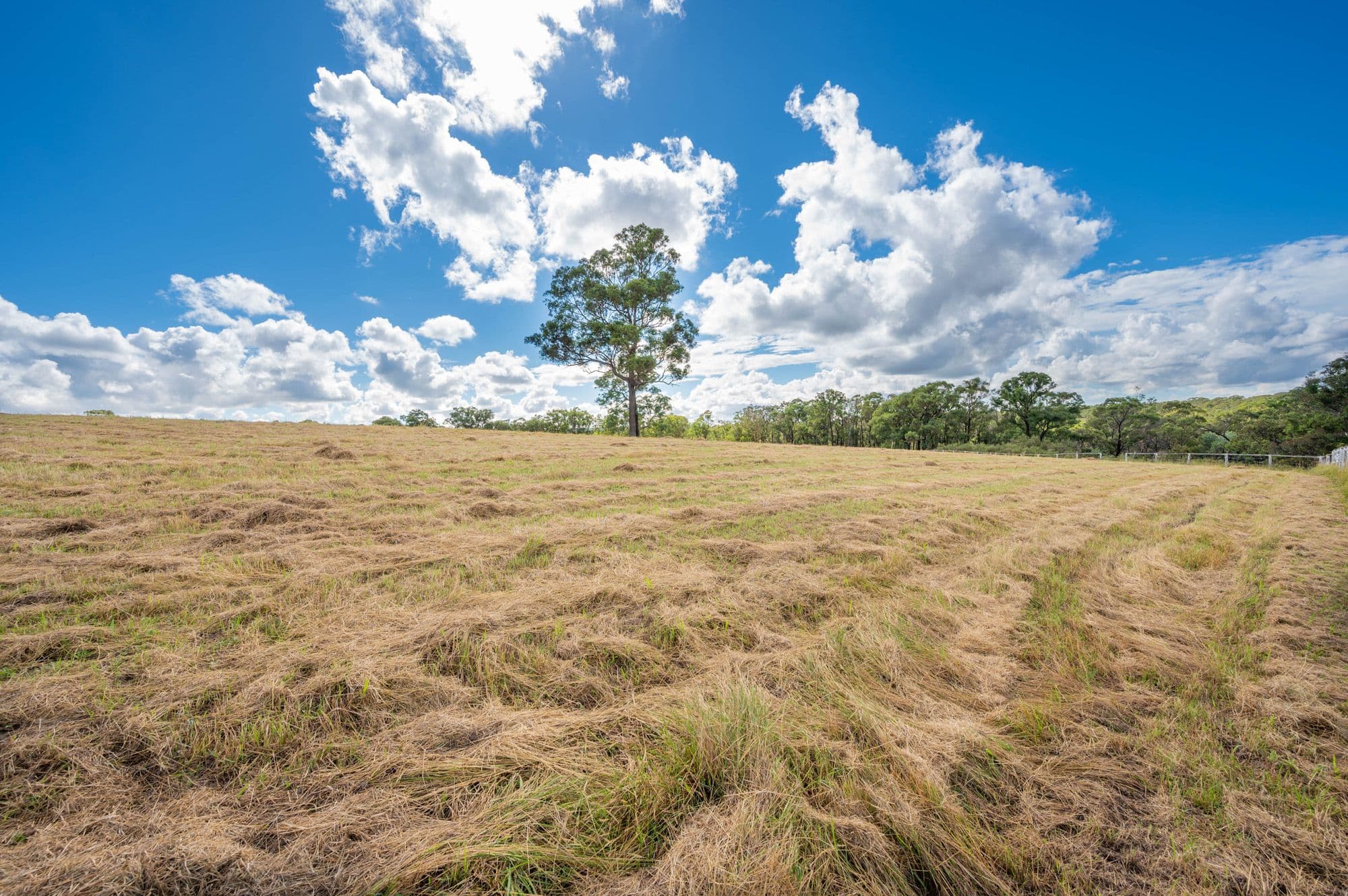 18 The Acres Way, Tahmoor NSW 2573, Tahmoor - Thumbnail 3