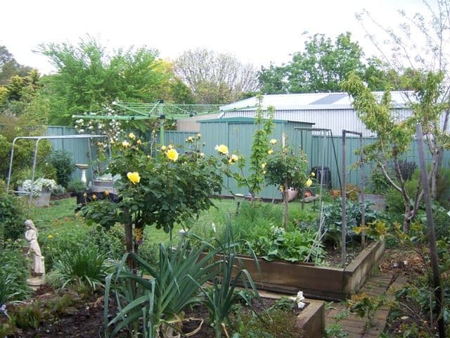 5 Power Court, Mount Barker SA 5251, Mount Barker - Thumbnail 4