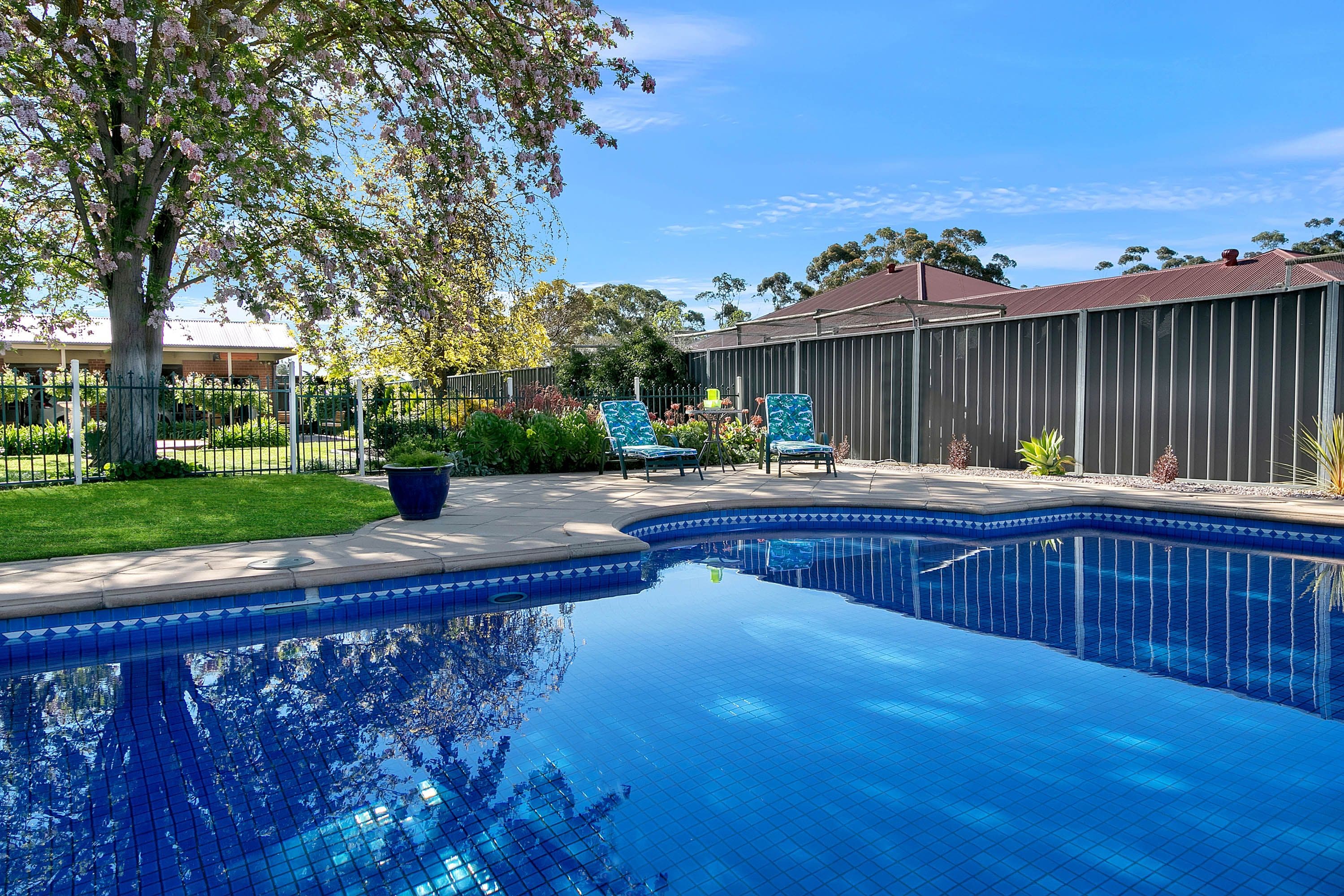 28 Kranz Street, Nuriootpa SA 5355, Nuriootpa - Thumbnail 3
