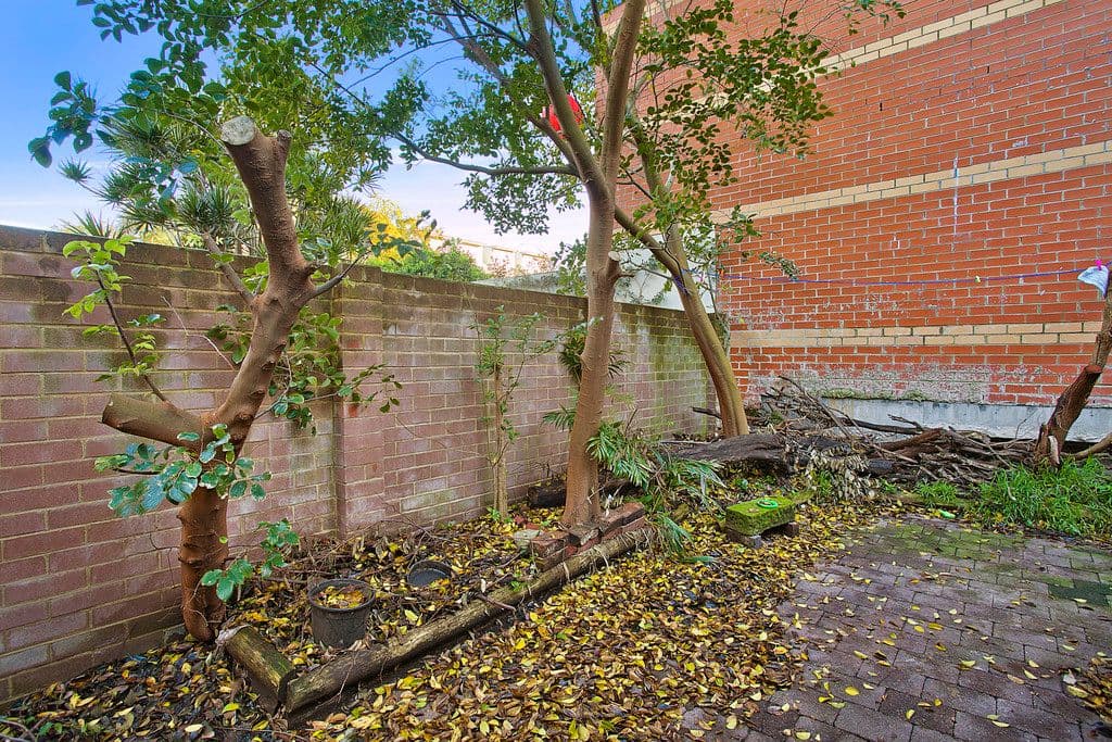10 Stirling Street, Redfern NSW 2016, Redfern - Thumbnail 3