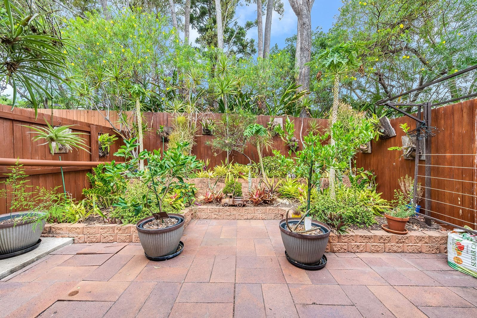 11 Zahel Street, Carina QLD 4152, Carina - Thumbnail 6