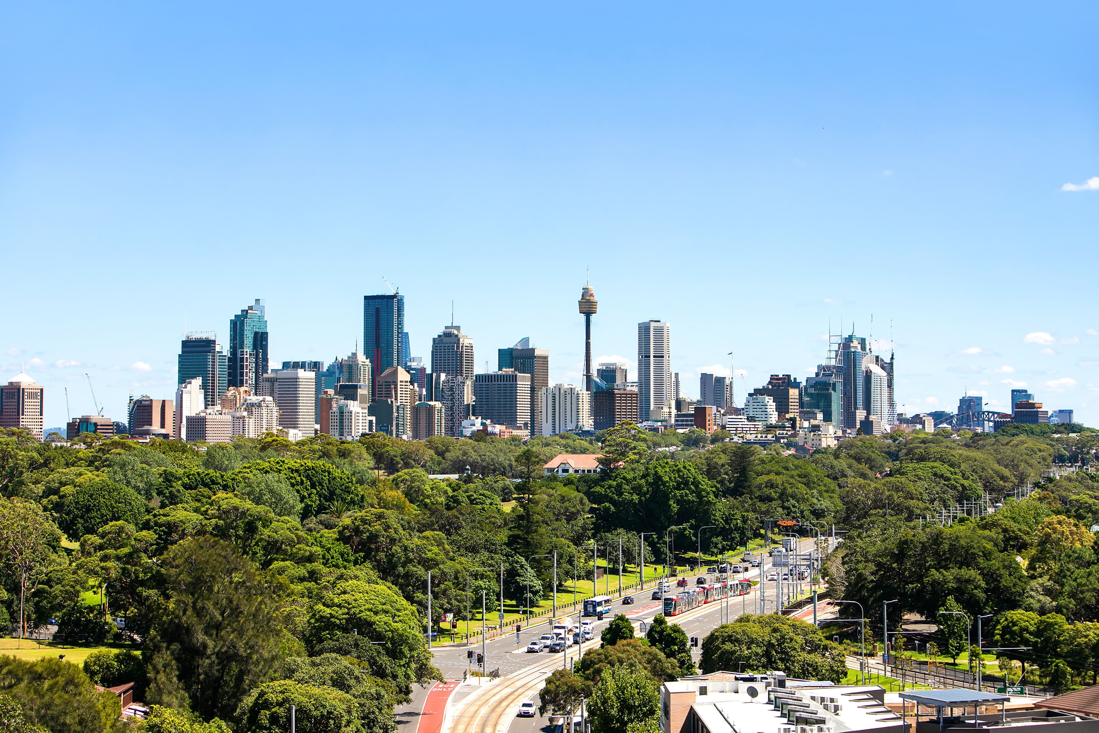 56-62 Anzac Parade, Kensington NSW 2033, Kensington - Thumbnail 4