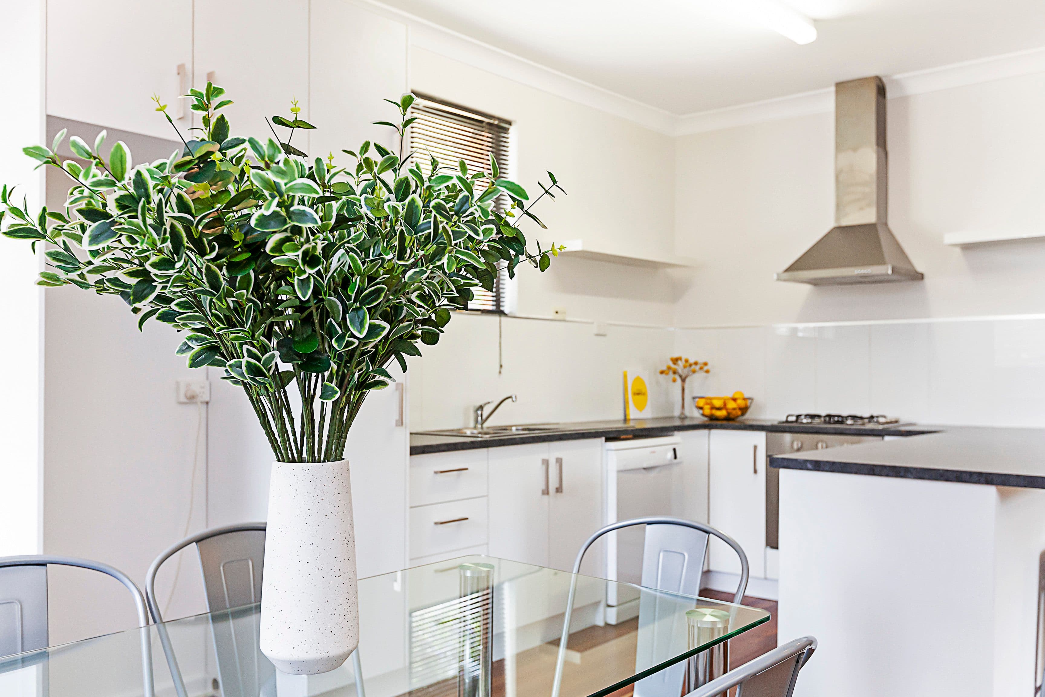 3 Jenny Avenue, Dernancourt SA 5075, Dernancourt - Thumbnail 4