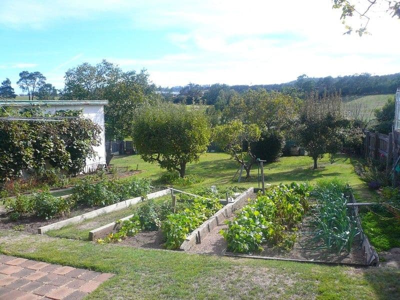155 Vermont Road, MOWBRAY TAS 7248, Mowbray - Thumbnail 7