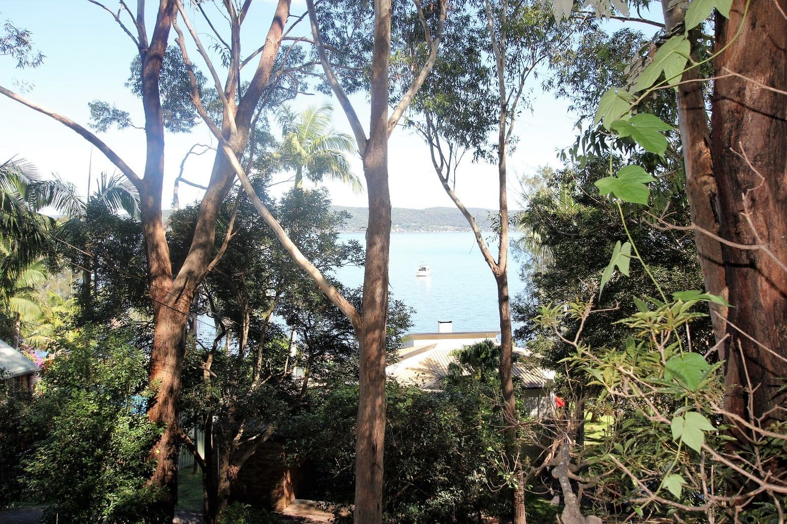 317A Avoca Drive, Green Point NSW 2251, Green Point - Image 1