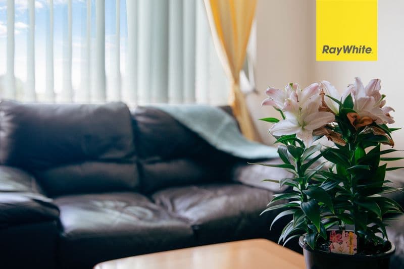 250 Lakemba Street, Lakemba NSW 2195, Lakemba - Thumbnail 4
