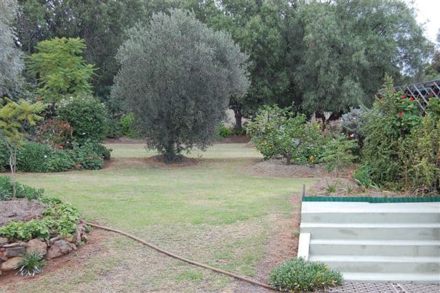 14 Parkfront Tce, Waterford, QLD, 4133, Waterford - Thumbnail 5